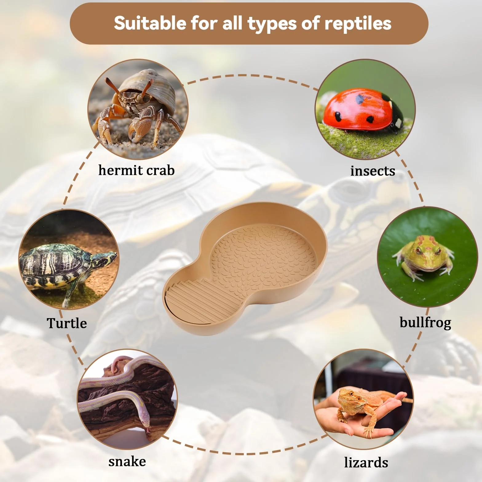 Abreuvoir Tortue Terrestre, Baignoire pour Reptiles avec Rampe, Bol à Eau pour Petites Tortues, Lézard, Amphibien et Autres Petits Reptiles (26,5 × 18 × 4,2 cm)