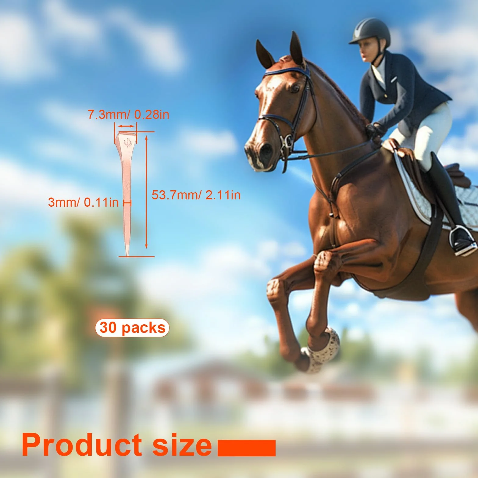 Clous pour Sabots 54 mm Acier au Carbone Fer à Cheval 30 Pièces