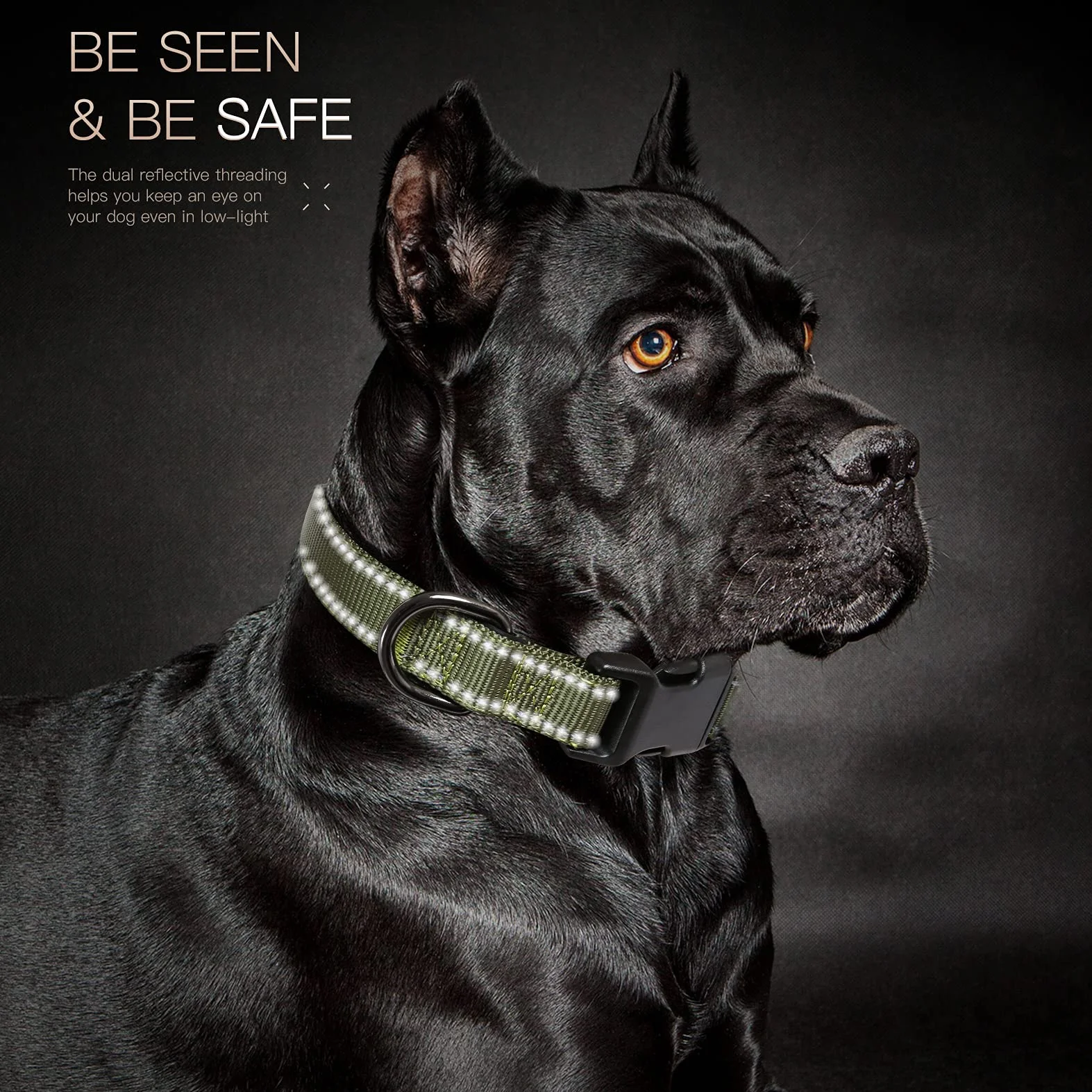 Collier Chien Réfléchissant en Néoprène Doux Rembourré Ajustable Vert L