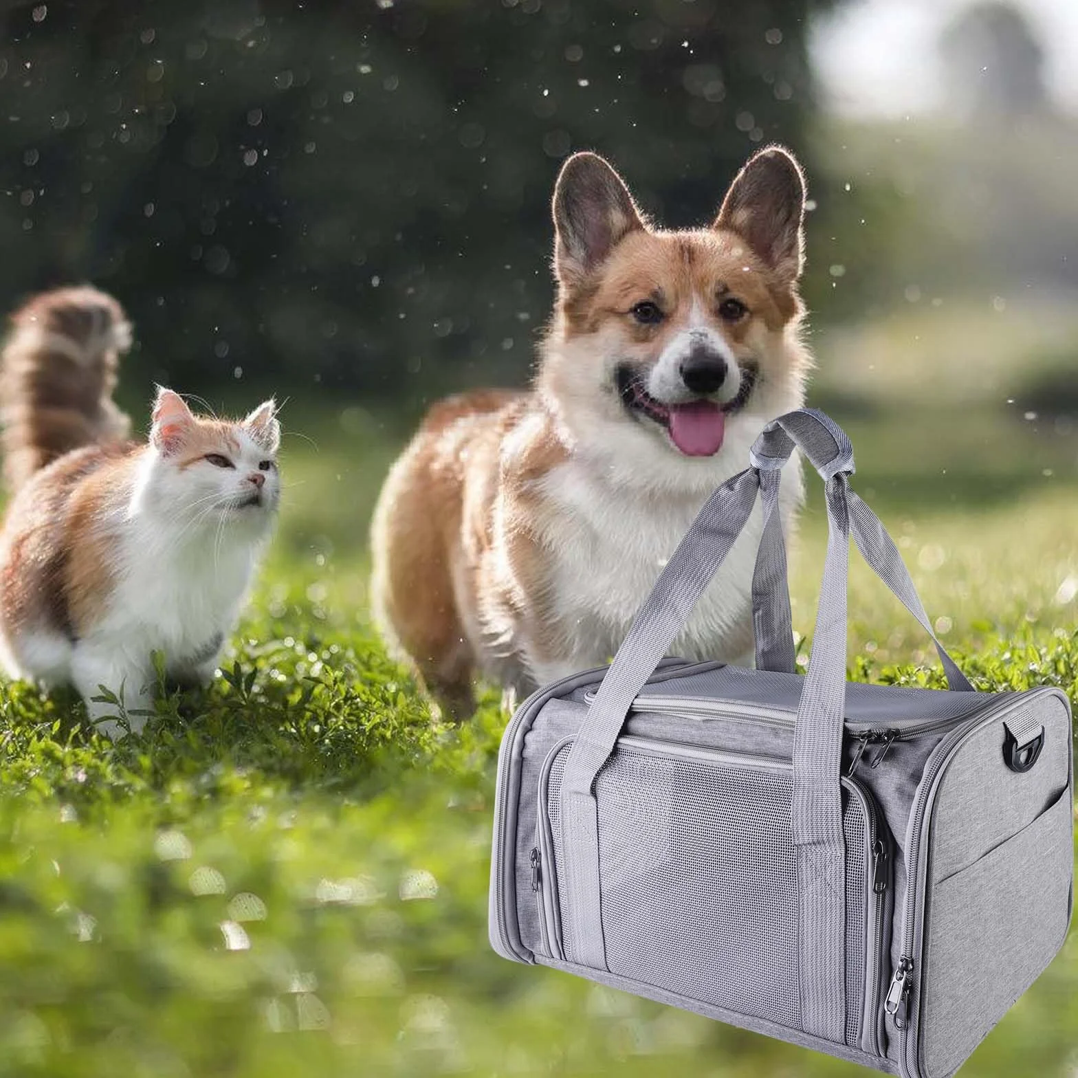 Sac de transport pour chat - 40 x 25 x 25 cm - Petit sac de transport pliable de 3 kg - Avec bandoulière - Boîte de transport pour chat - Boîte de transport pour petits chats - Taille S