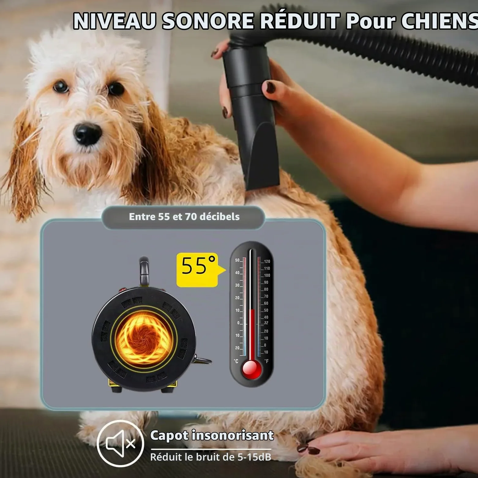 Pulseur pour Chien 2800W - Séchoir Professionnel pour Animaux avec Température Réglable et 4 Buses (Jaune)