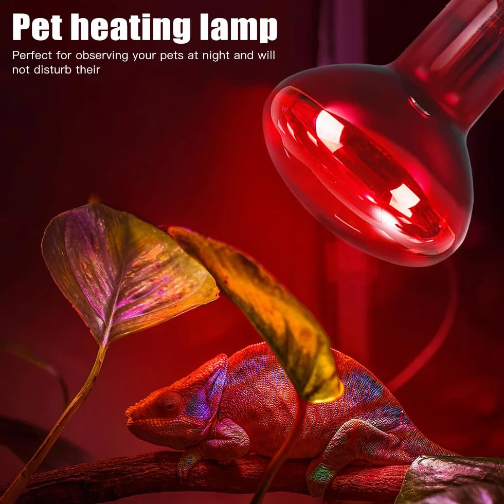 Reptile Ampoules Chauffantes 100W Lampe Chauffante E27 Infrarouge Dimmable 2 Pièces