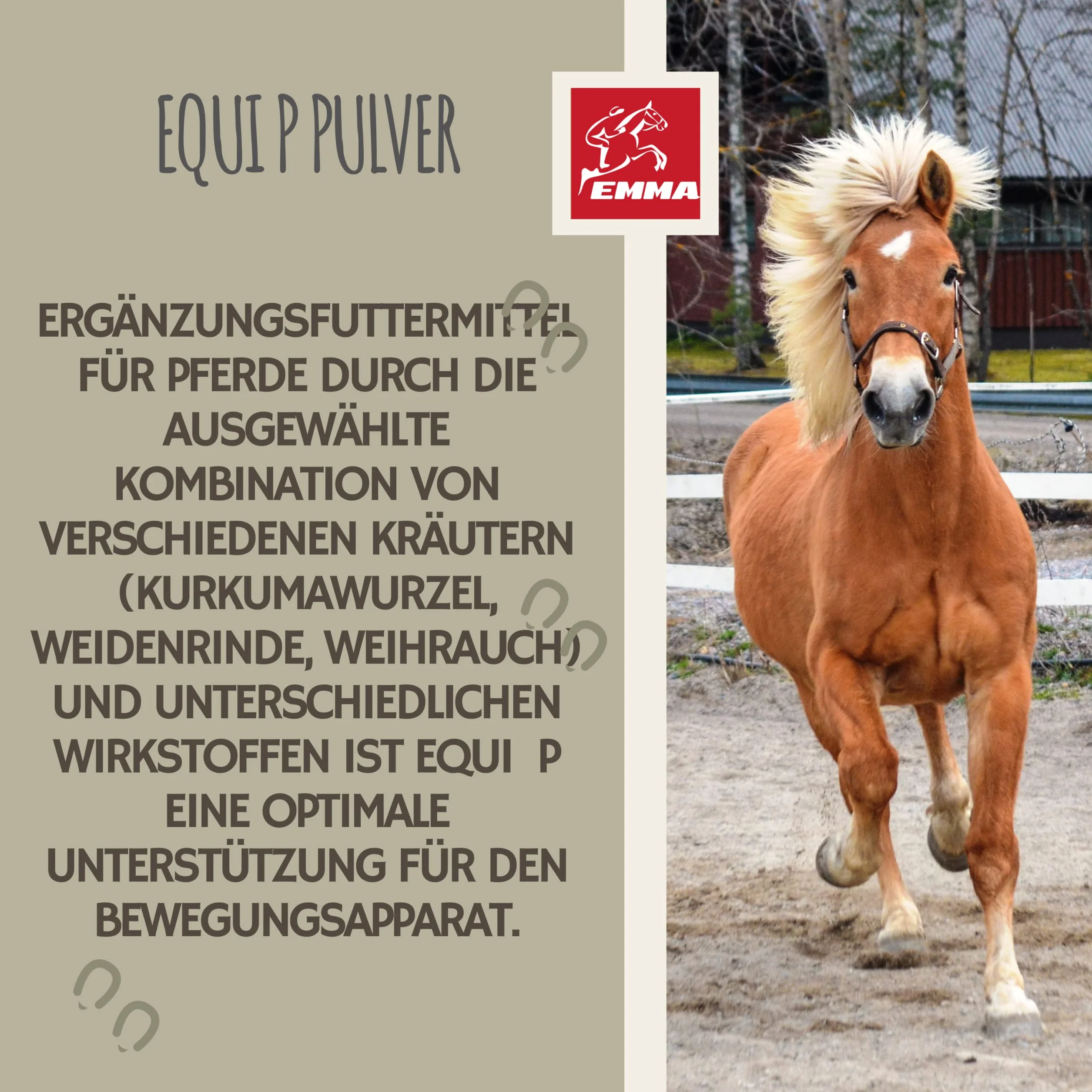 Pâte vitaminée cheval glucosamine chondroïtine haute dose appareil locomoteur articulations tendons ligaments