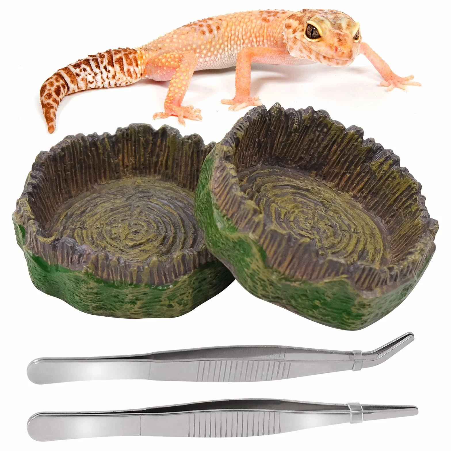 Bac à Eau pour Reptiles Terrarium Accessoire, Mangeoire Reptiles 4 Pièces avec Pinces