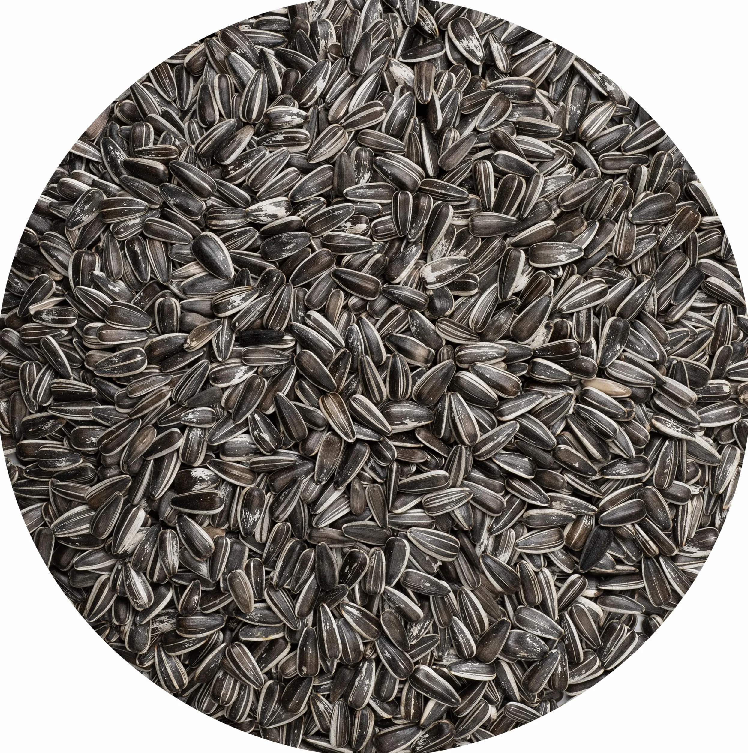 VITAKRAFT Vita Garden Alimentation Complète Pour Oiseaux Extérieurs Graines de Tournesol Strié 1,5kg