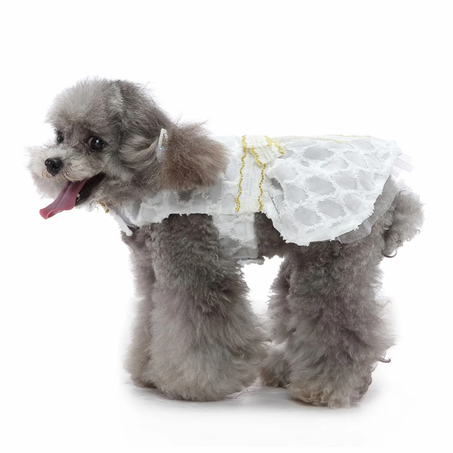 Robe de Chien Nœud Papillon Jupe Princesse Blanche Dentelle Vêtement Été Mariage (M)