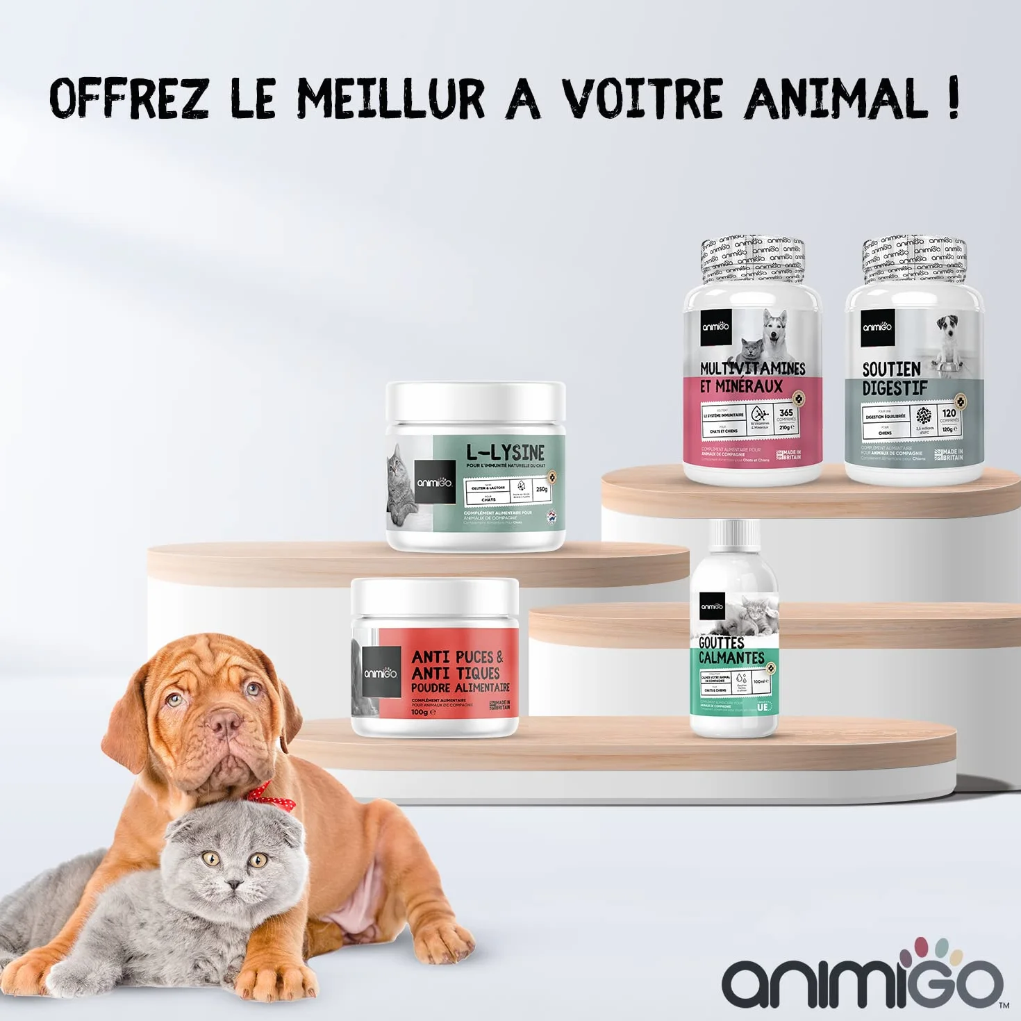 Poudre Soin Dentaire Chien et Chat 350g - Algues Varech Anti Tartre, Plaque Dentaire & Mauvaise Haleine Chien - Nettoyage des Dents Détartrage Efficace À La Menthe Poivrée - Hygiène Bucco-Dentaire