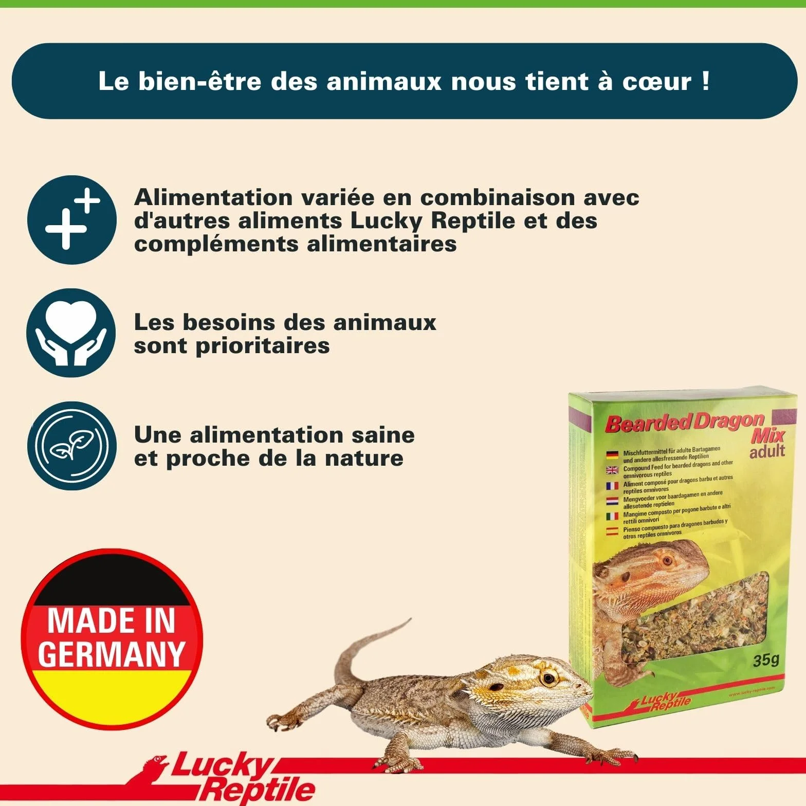 Lucky Reptile HD-01 Mélange Dragon Barbu Adulte 35 g