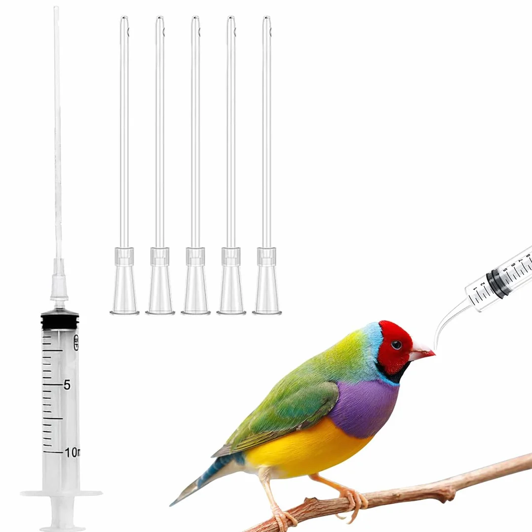 Seringue 10 ml Nourrissage Oiseaux Sondes Alimentation Oisillons Bébé Oiseau
