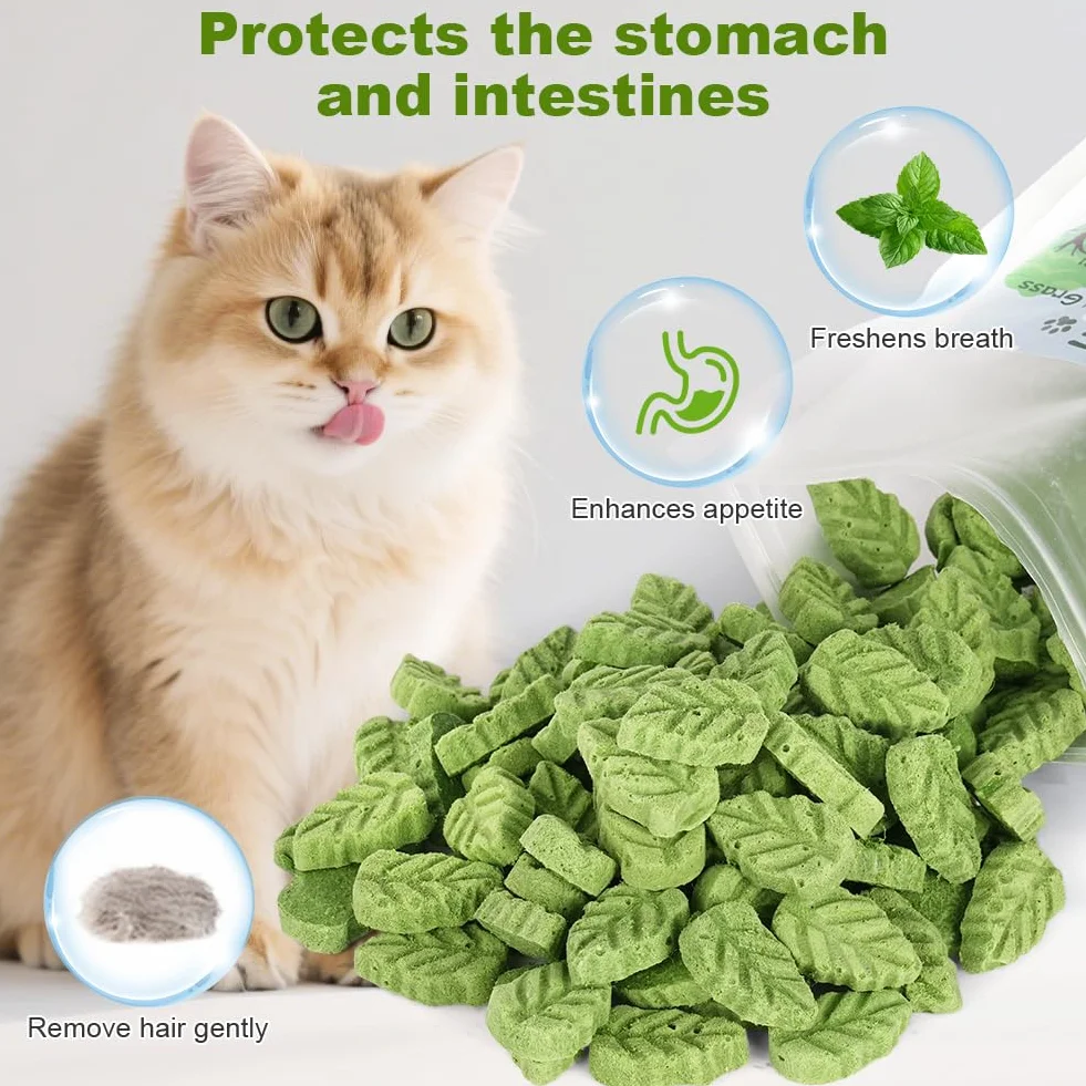 Bâton d'herbe à Chat 100g Feuilles lyophilisé Comestible Nettoyage des Dents Élimination des Boules de Poils pour Chat