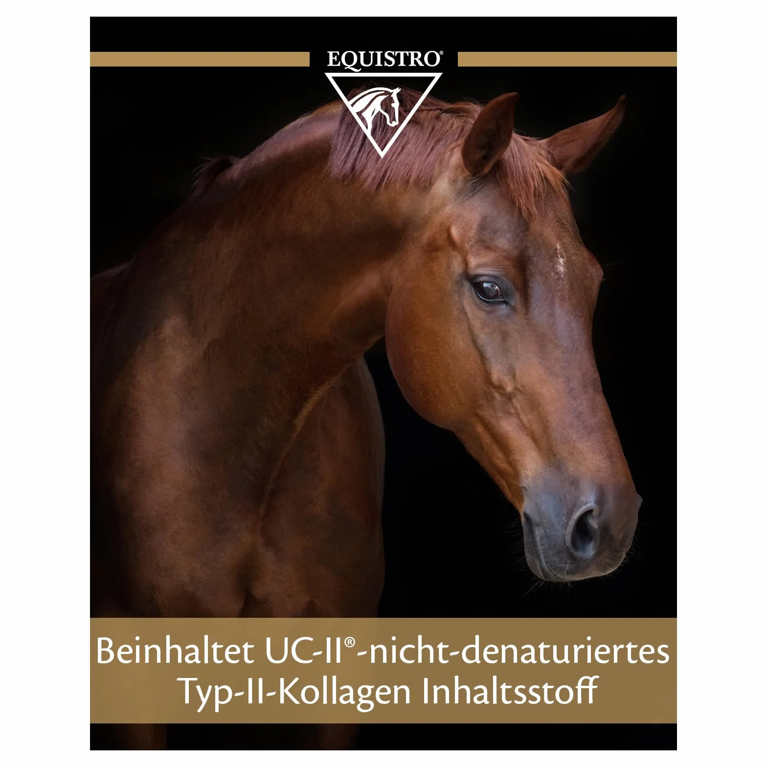 EQUISTRO® Flexadin Advanced Complément Alimentaire pour Chevaux Soutien du métabolisme articulaire UC-II® 2,4 kg
