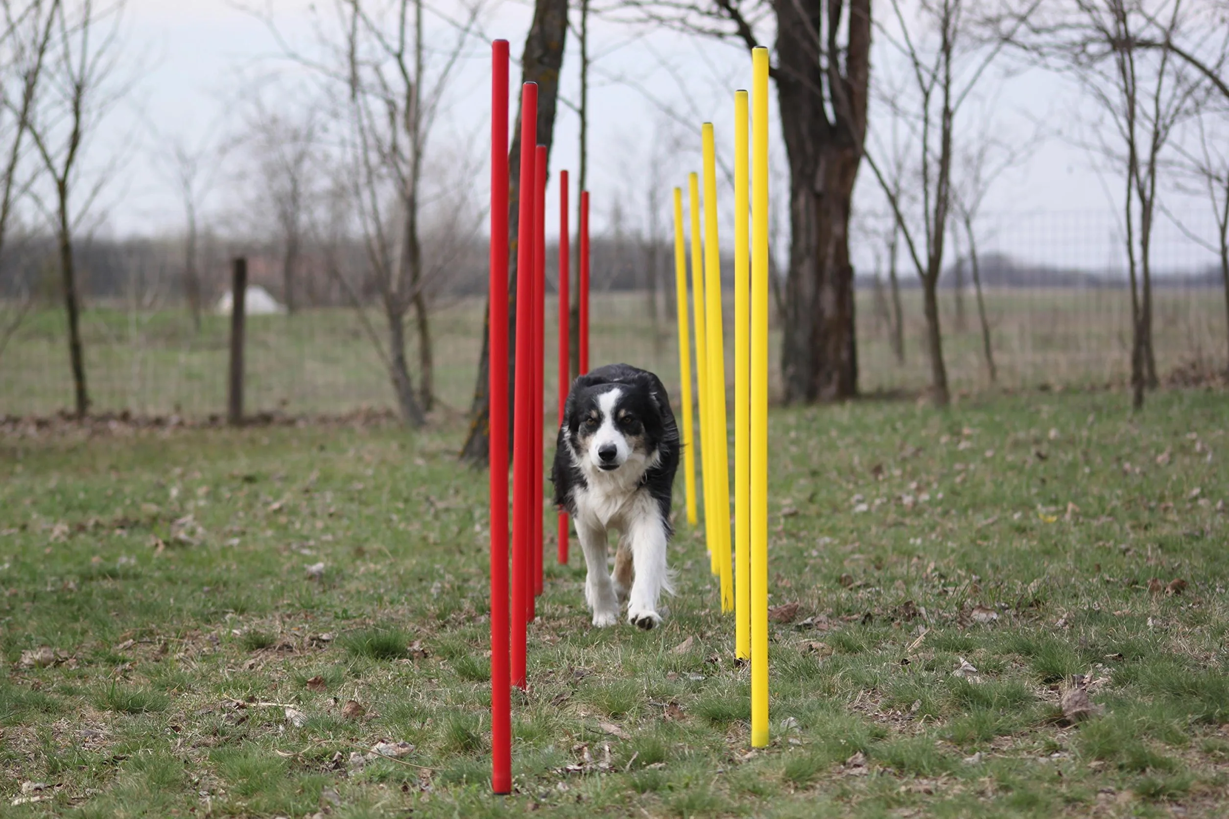 Kit piquets de slalom AGILITY SLALOM rouge/jaune ronds flexibles