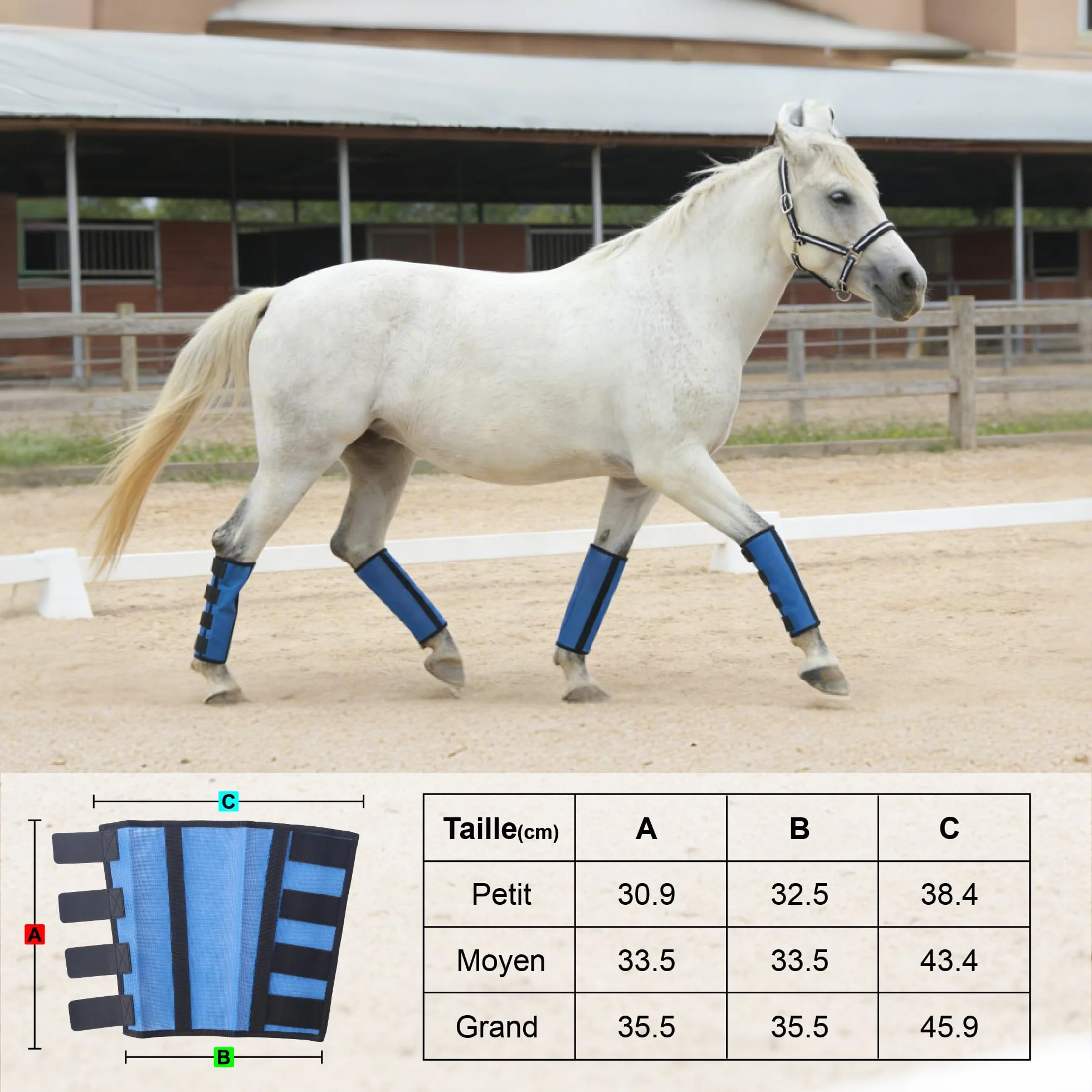 Guêtres Anti-Mouches pour Chevaux Lot de 4, Maille Respirante, Bleu Large