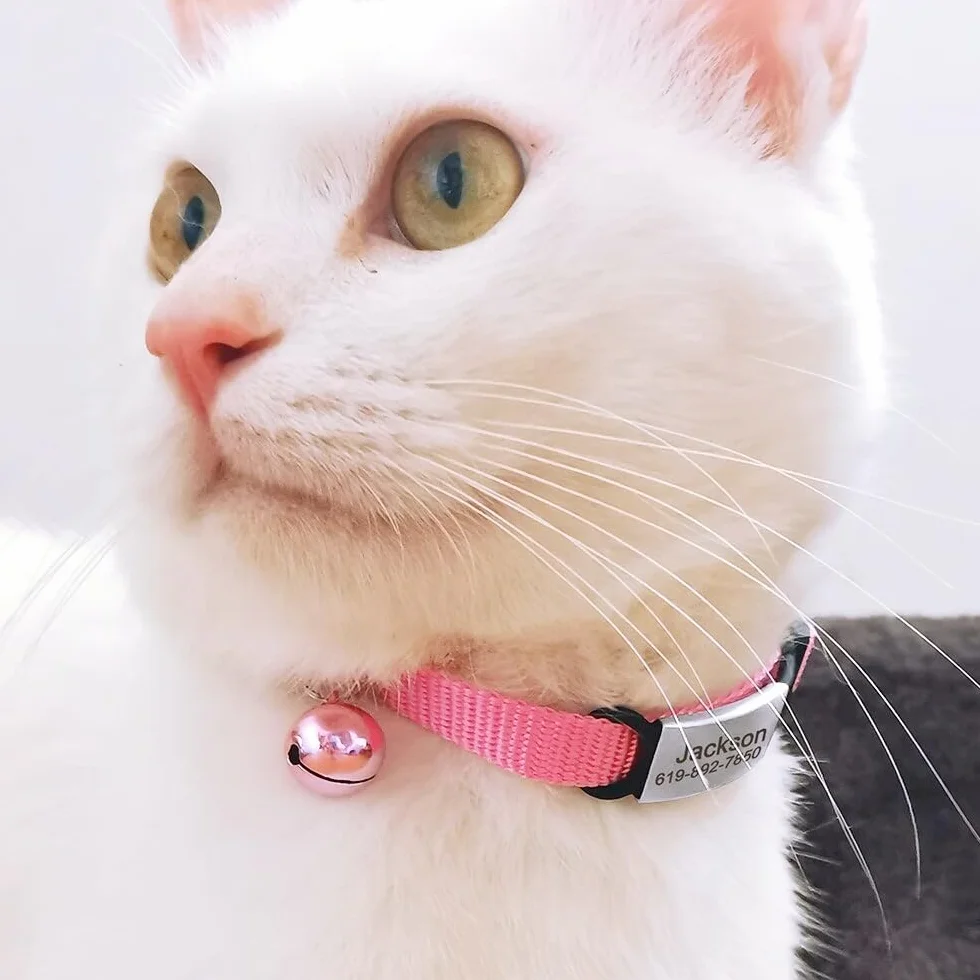 Colliers pour Chat Chaton avec Gravure personnalisée Prénom Téléphone 10 Couleurs
