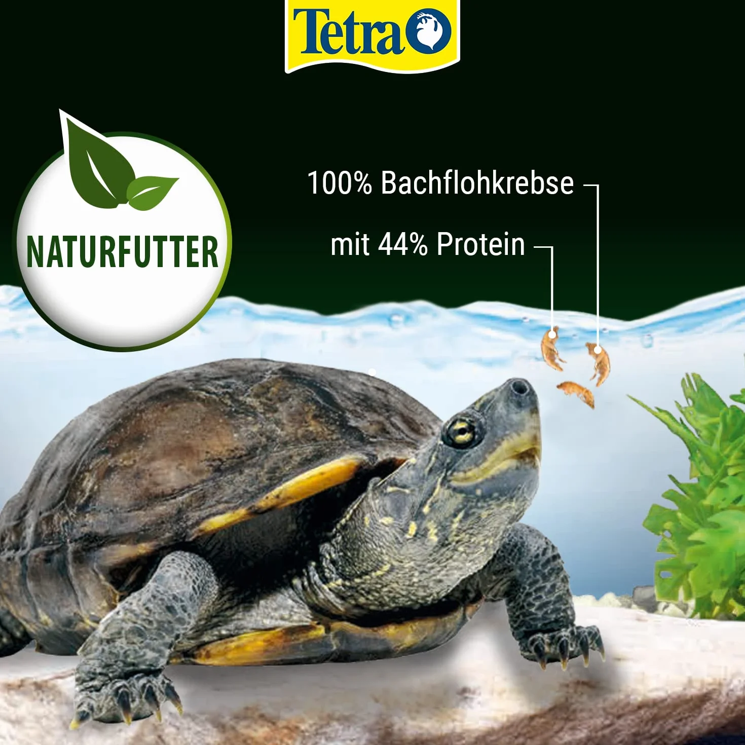Tetra Gammarus Aliment 100% naturel pour tortues aquatiques Crevettes séchées 4L (400g)