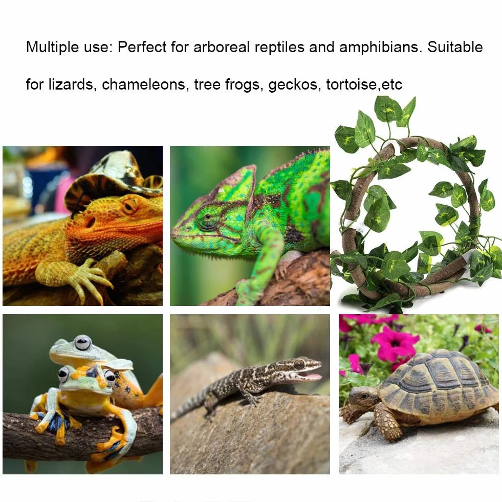 Vignes de Reptiles Artificielles avec Ventouses, Branche d'escalade en Rotin Flexible, 3,28 Pieds avec Feuilles de Scindapsus, pour Serpents