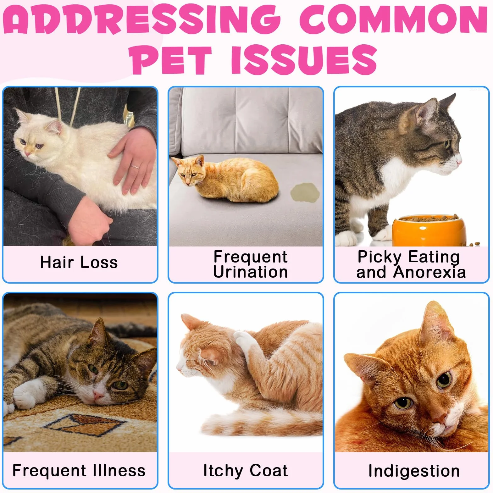 Collagène pour Chats - Soulagement Démangeaisons et Soutien Articulaire - Santé Peau Pelage - 60ml