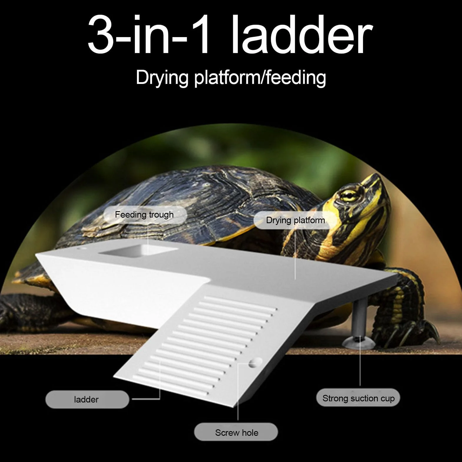 Terrasse pour Reptiles avec Scène d'Escalade Stable, Plateforme de Repos pour Tortues