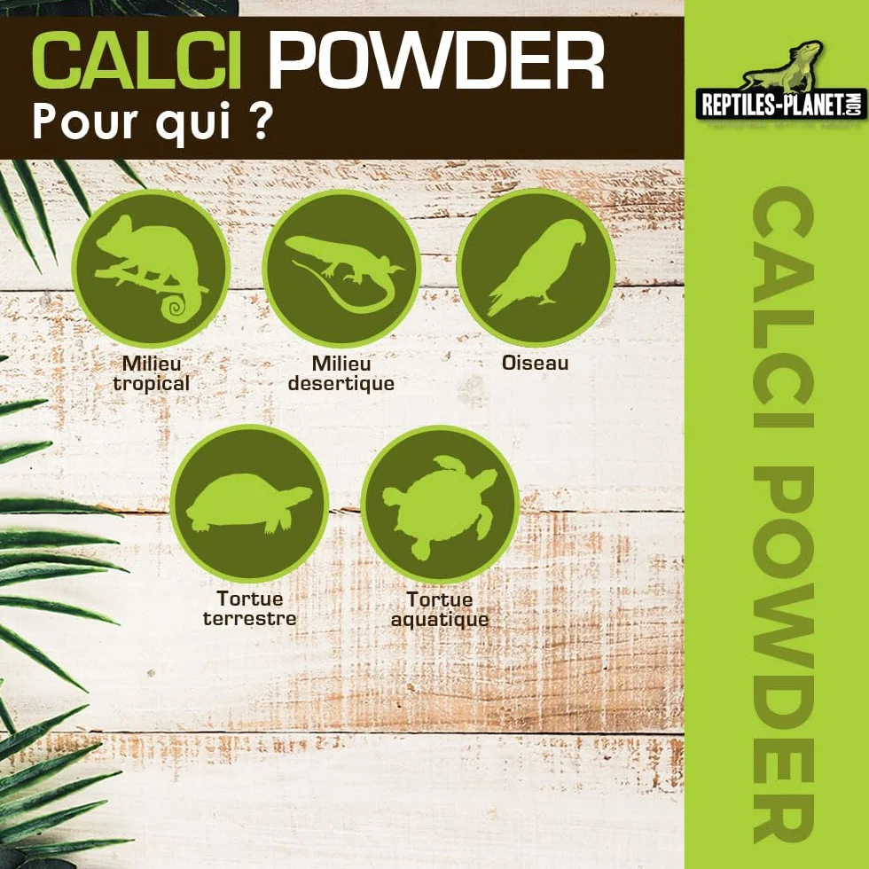 Reptiles Planet Calci Sepia Powder Os de Seiche en Poudre pour Reptiles 100 g