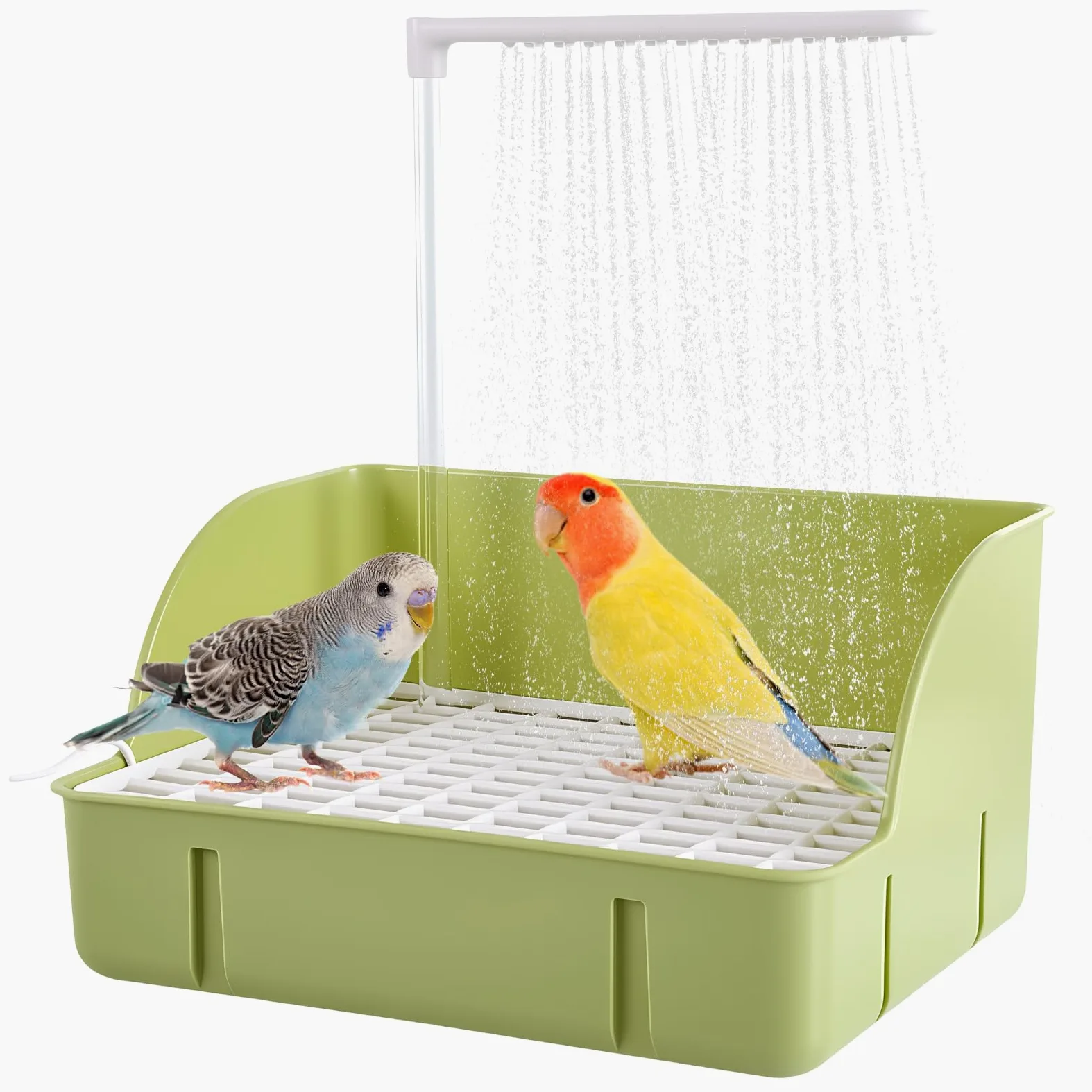 Baignoire automatique pour oiseaux - Avec pompe - Accessoire de douche pour perruches, oiseaux et perroquets - Vert - Taille L