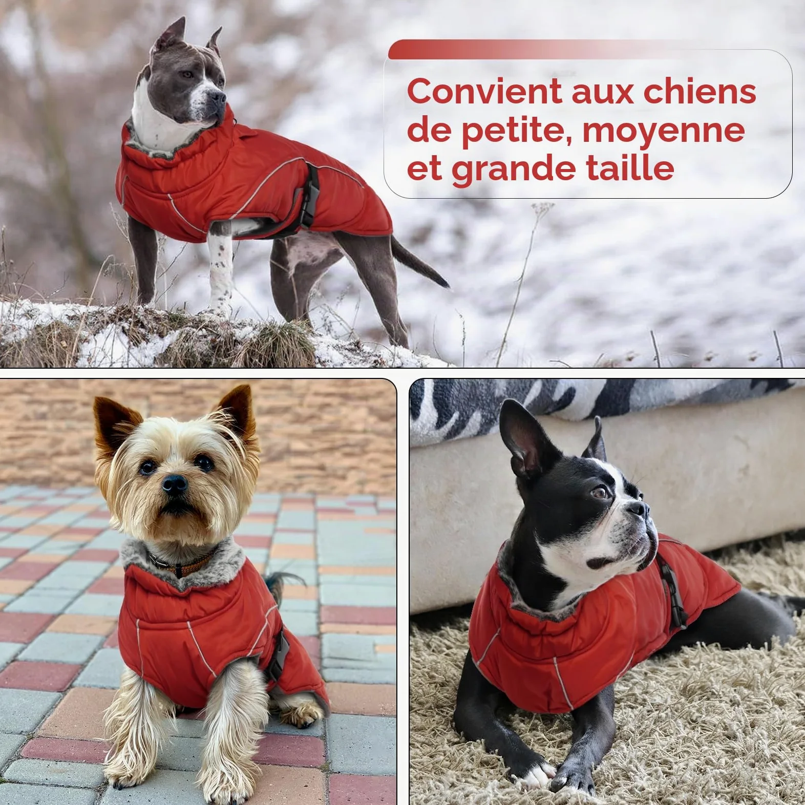 Manteau Polaire Chien, Doudoune Chien Manteau Petite Chien Réfléchissant Peluche avec Col en Fourrure Veste d'hiver Vêtement Confortable pour Petits Moyens Grands Chiens(Rouge, XL)