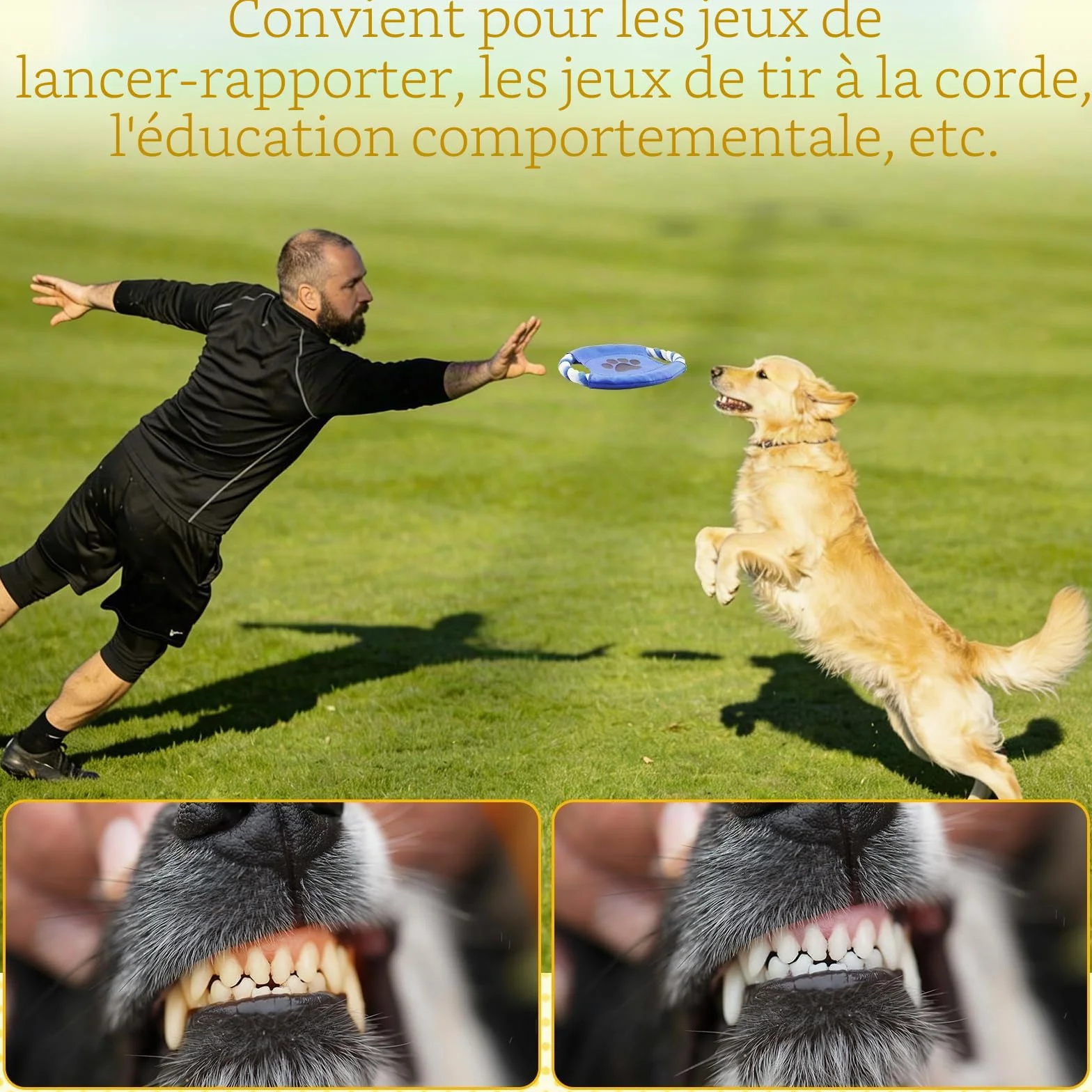 Lot de Jouets pour Chiot 14 Pièces Jouets pour Chiens de Petite Taille Interactif Jouet Corde en Coton avec Boîte de Rangement