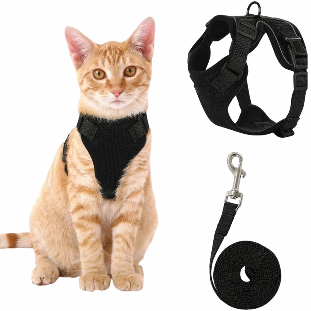 Harnais Pour Chat Noir Xs Laisse Réglable Réfléchissant Gilet Respirant