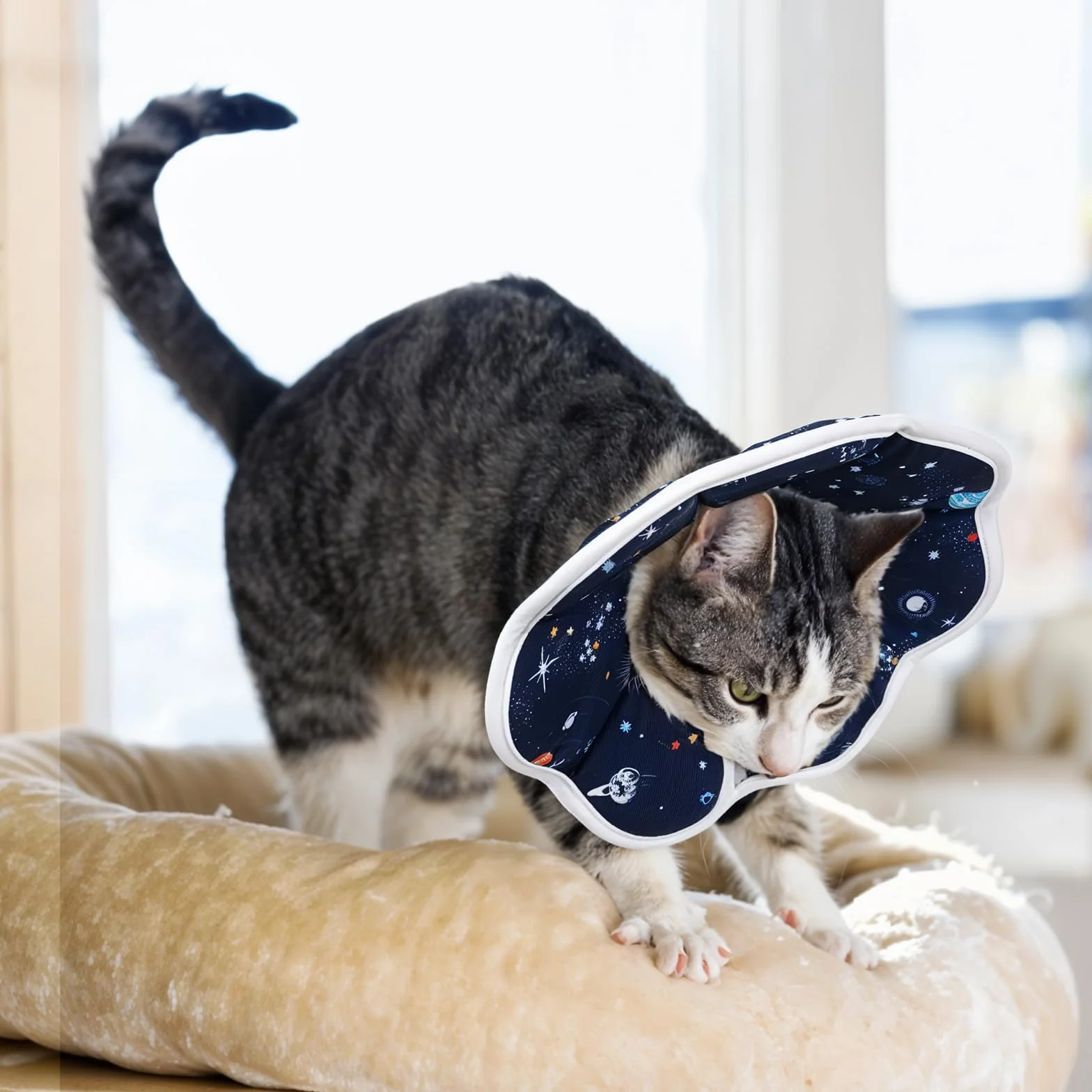JunD Collier de Récupération Souple Chat, Collerette Post-Opératoire Réglable, Tour de Cou Chat Souple Respirant Imperméable Lavable