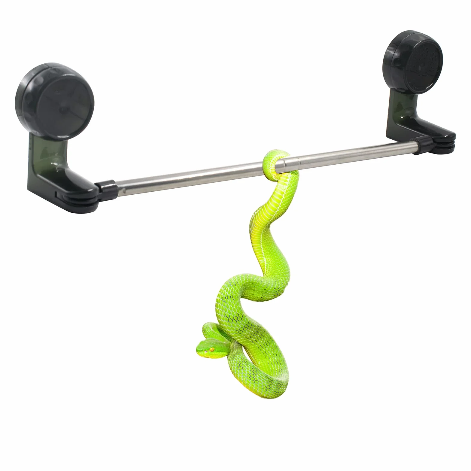 Poteau d'escalade pour Reptiles avec Ventouse Rétractable 30-60 cm pour Serpent, Lézards, Dragons Barbus