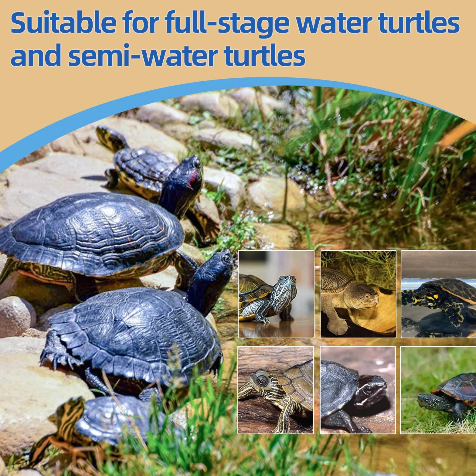 Nourriture 3 en 1 pour Tortues de Viande, Poulet et Poisson Lyophilisés, 90g