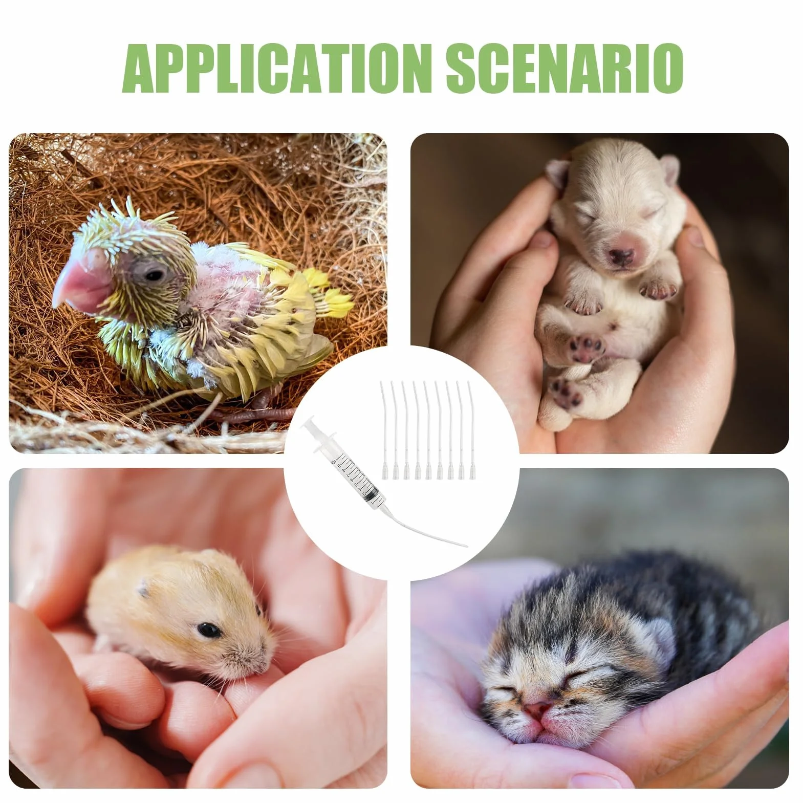 Sondes d'alimentation pour Oisillons, Seringue 10 ML, Bébé Oiseau, Tortue