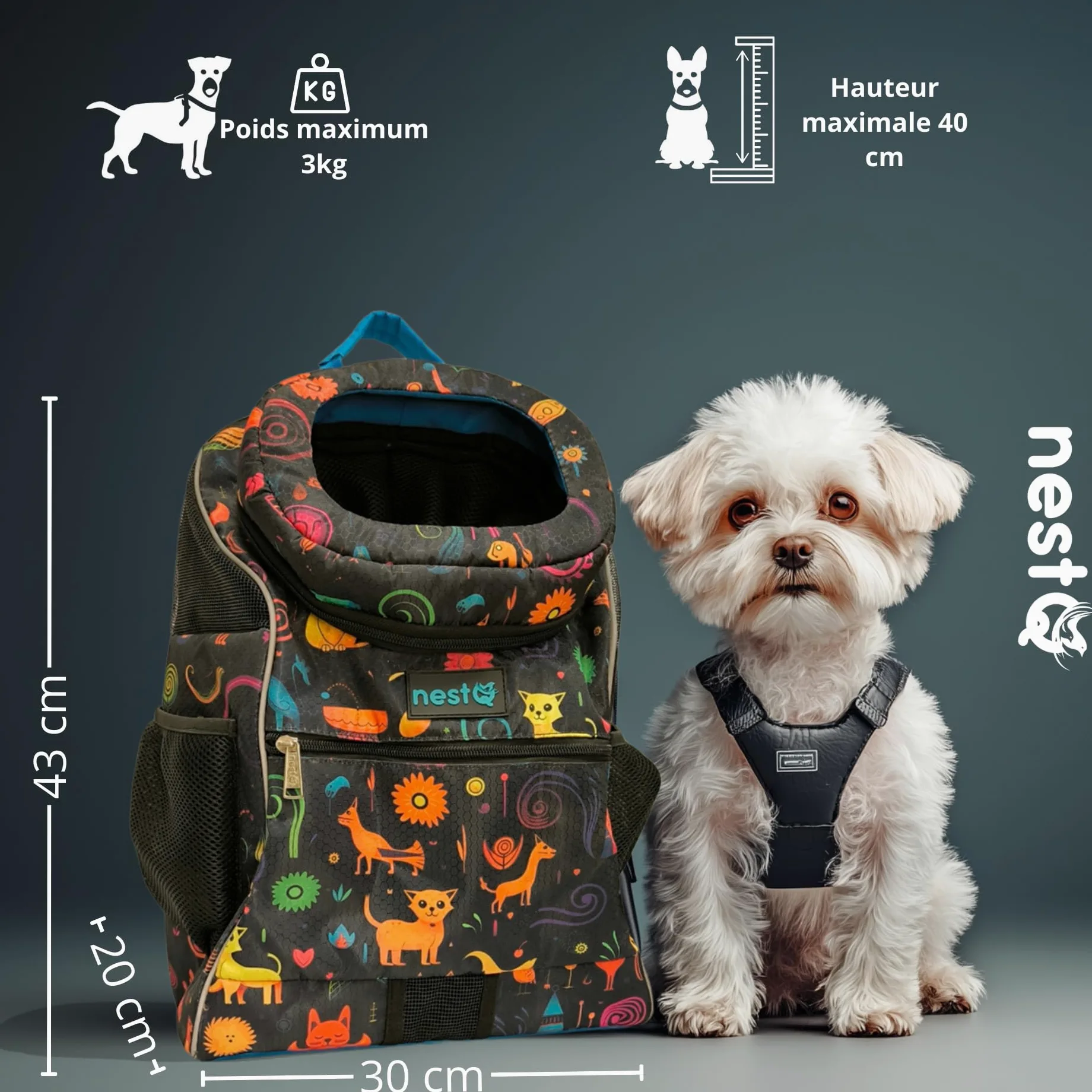 Sac à dos pour petits animaux de compagnie tels que chiens et chats jusqu'à 3 kg - Protection de la tête - Sac de voyage, transport chiots - Taille 43 x 30 x 20 cm