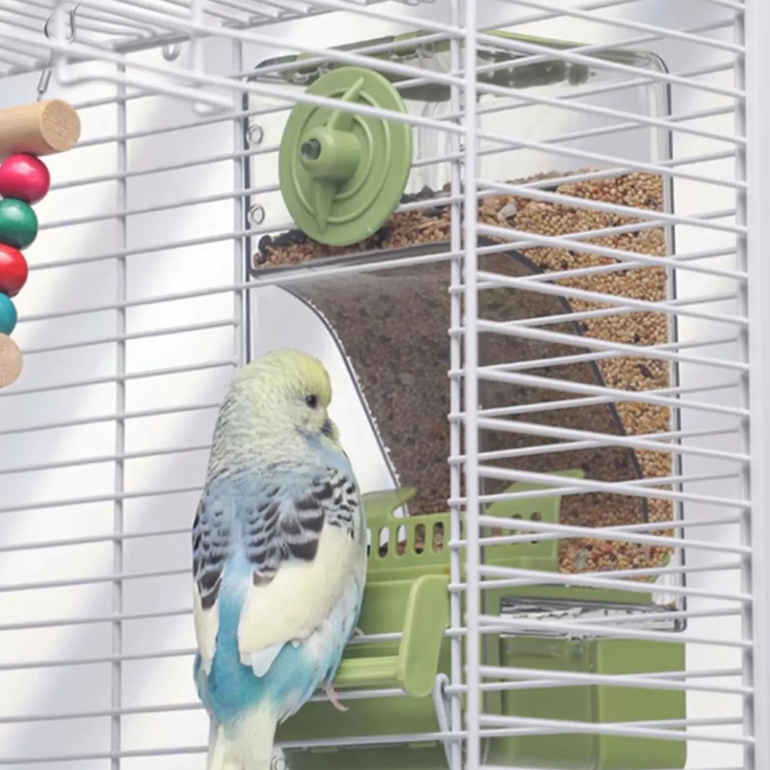 Mangeoire Automatique pour Oiseaux avec Perruche Canari Calopsitte Pinson