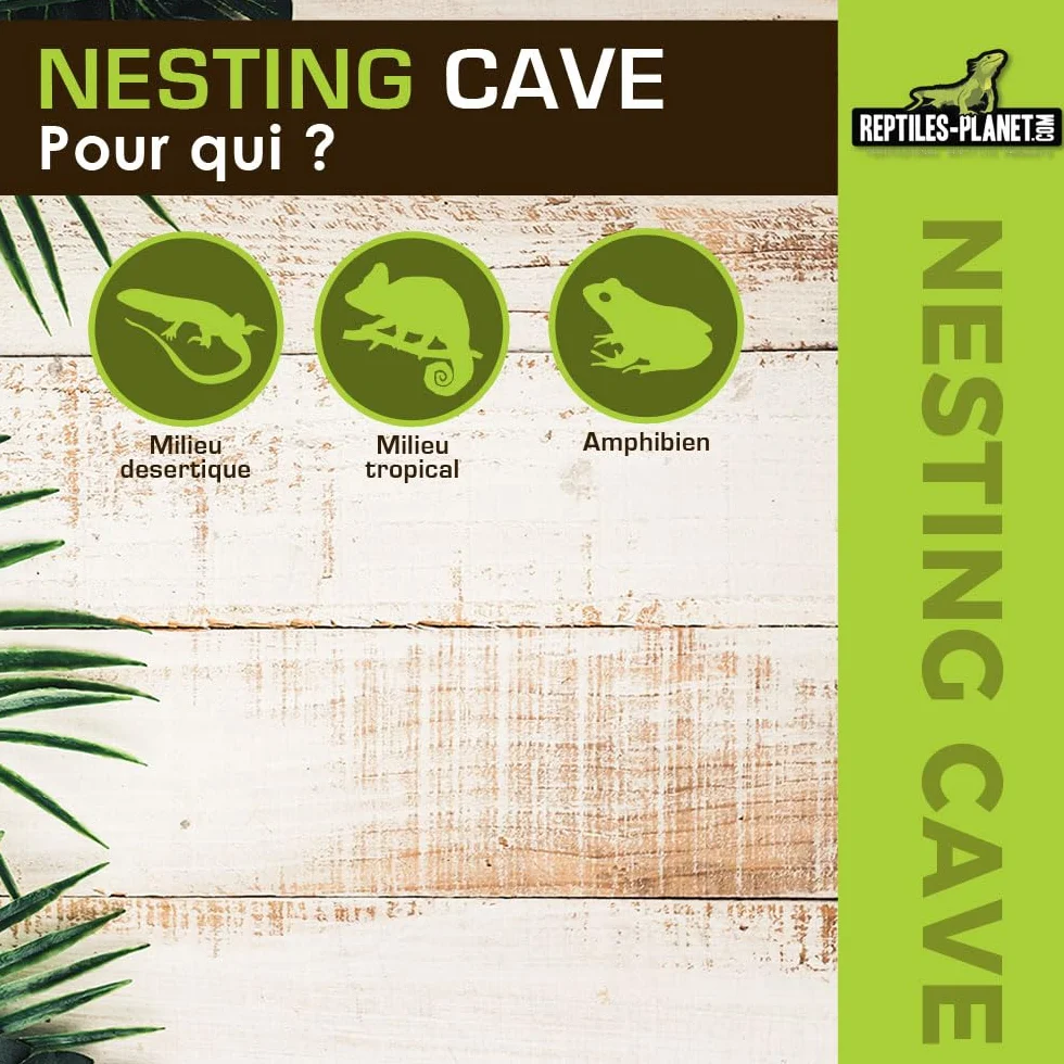 Reptiles Planet Nesting Cave M Nid de Ponte pour Gecko 12 x 10,5 x 7,7 cm