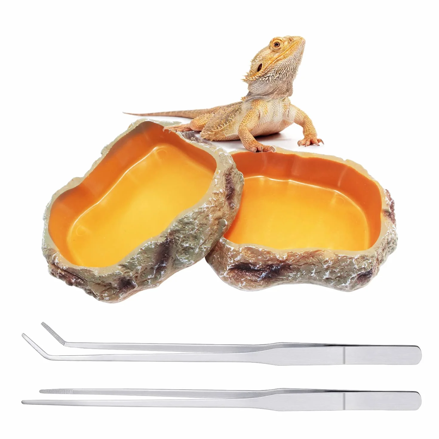 Reptile Growth Accessoire Terrarium 2 pièces gamelle Pinces à Alimentation Longue Acier Inoxydable Brucelles incurvées Droites Convient Geckos