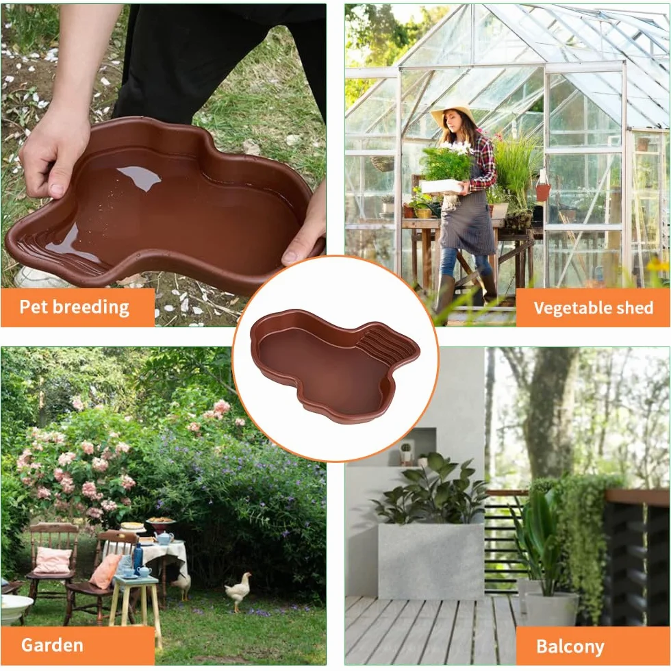 Bassin de bain pour tortues et reptiles