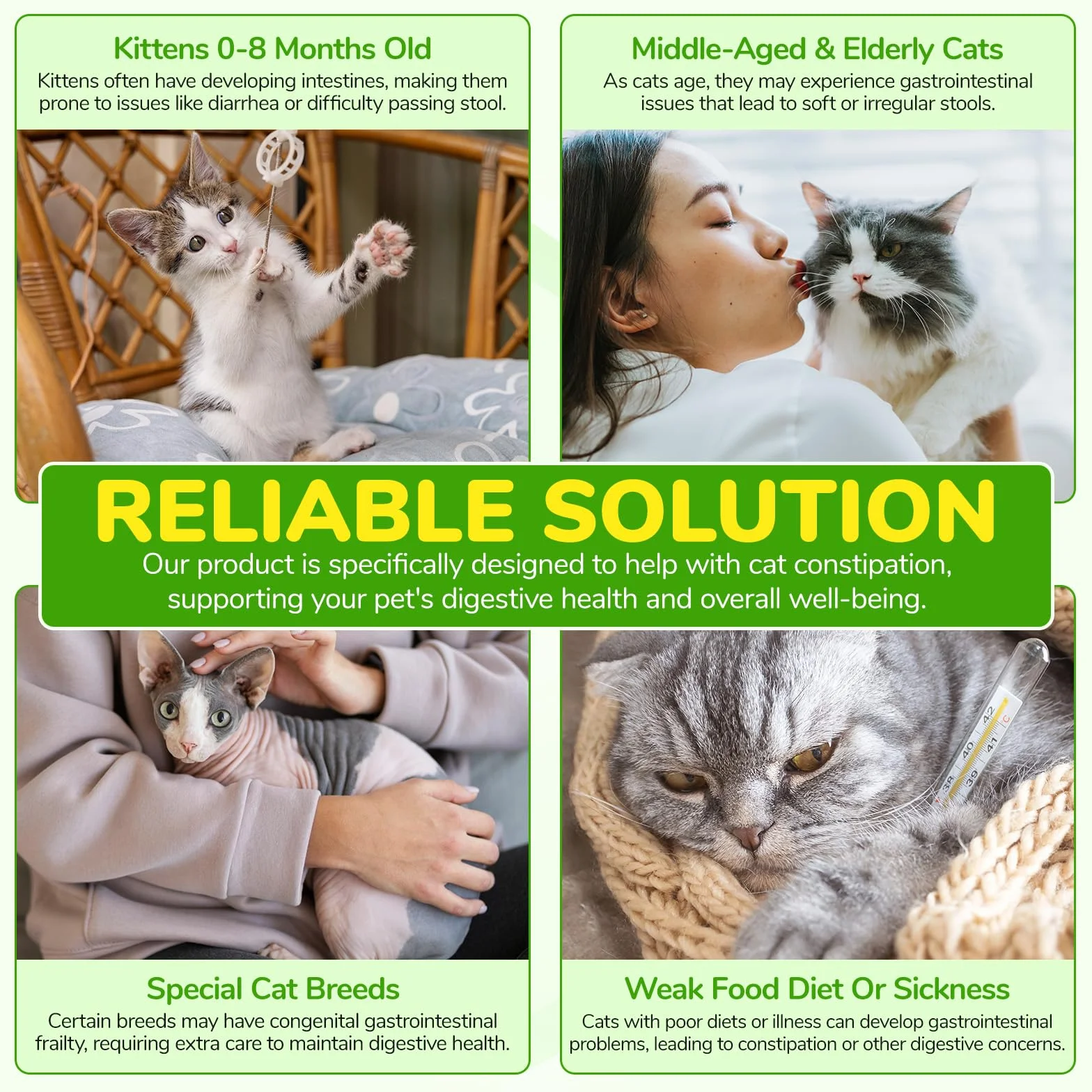 Laxatif Naturel pour Chats Constipation - Transit Intestinal Régulier & Santé Intestinale - 6 Probiotiques Actifs - 60ml