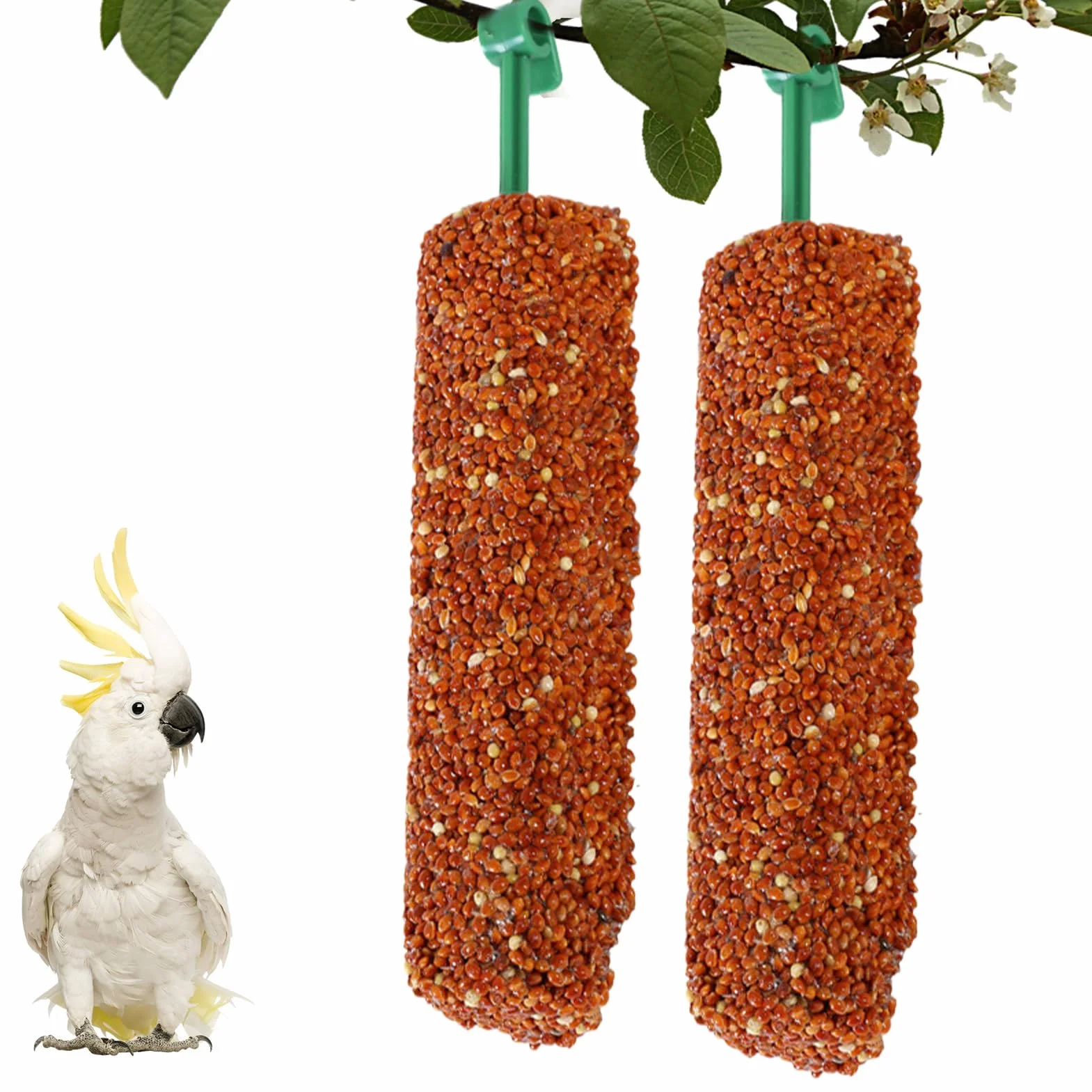 Friandises pour Calopsittes 2 Bâtonnets Récompenses Éducatives pour Perroquets