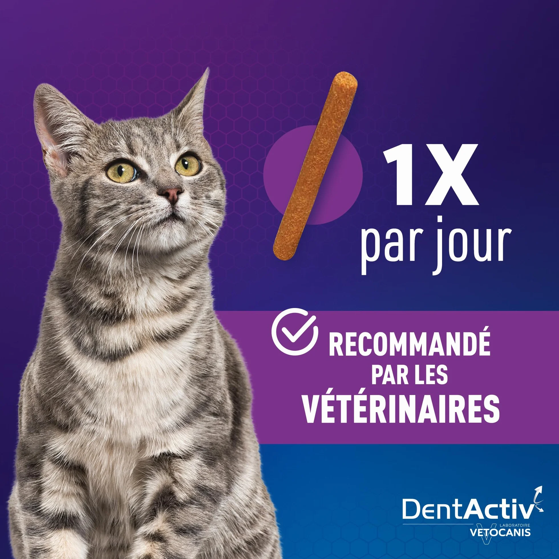 Vetocanis Dentactiv Stick Dentaire Chat Friandises Hygiène Santé 55% Poulet 26% Saumon Anti-Plaque