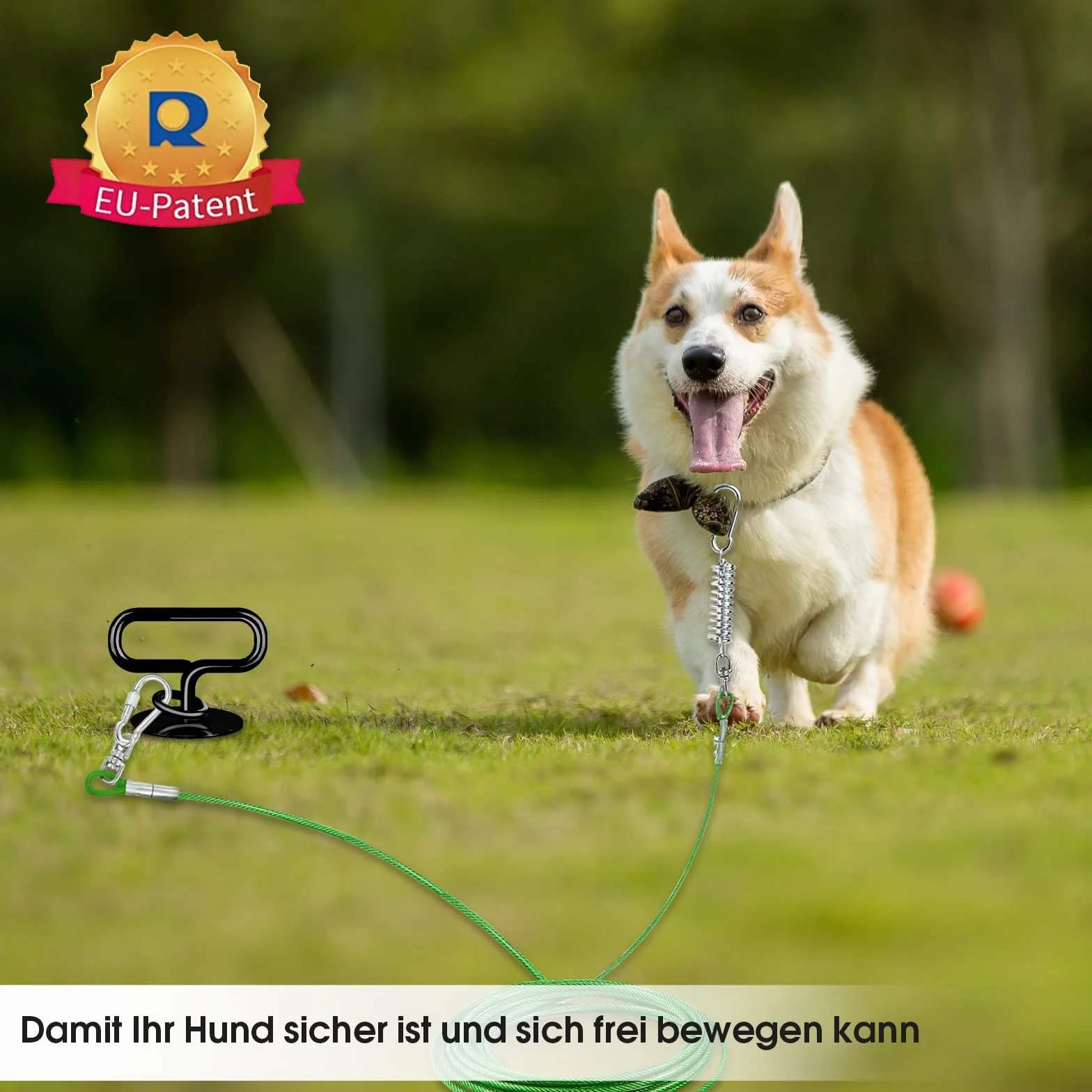 Chien d'ancrage au Sol Lourd pour Grands Chiens Extérieur