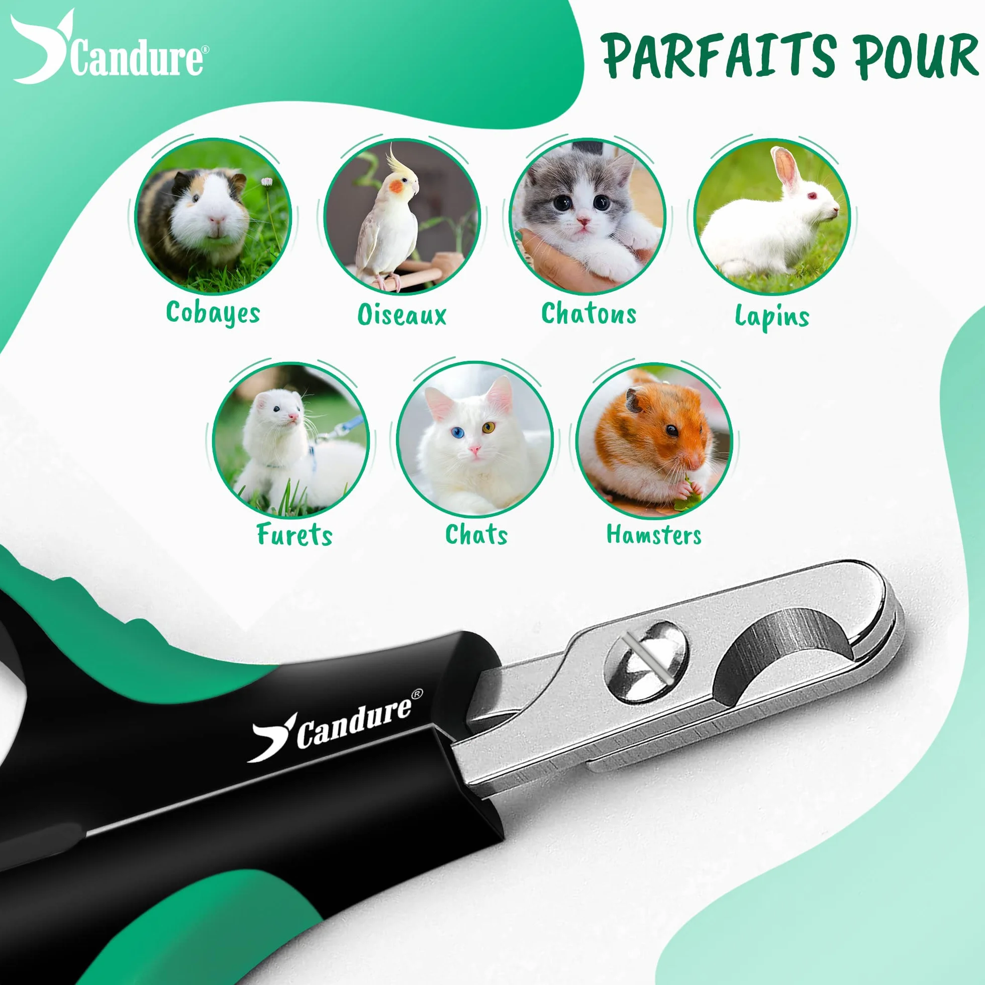 Candure Coupe-Ongles Ciseaux Professionnels pour Animaux de Compagnie Chats Chiens Lapins