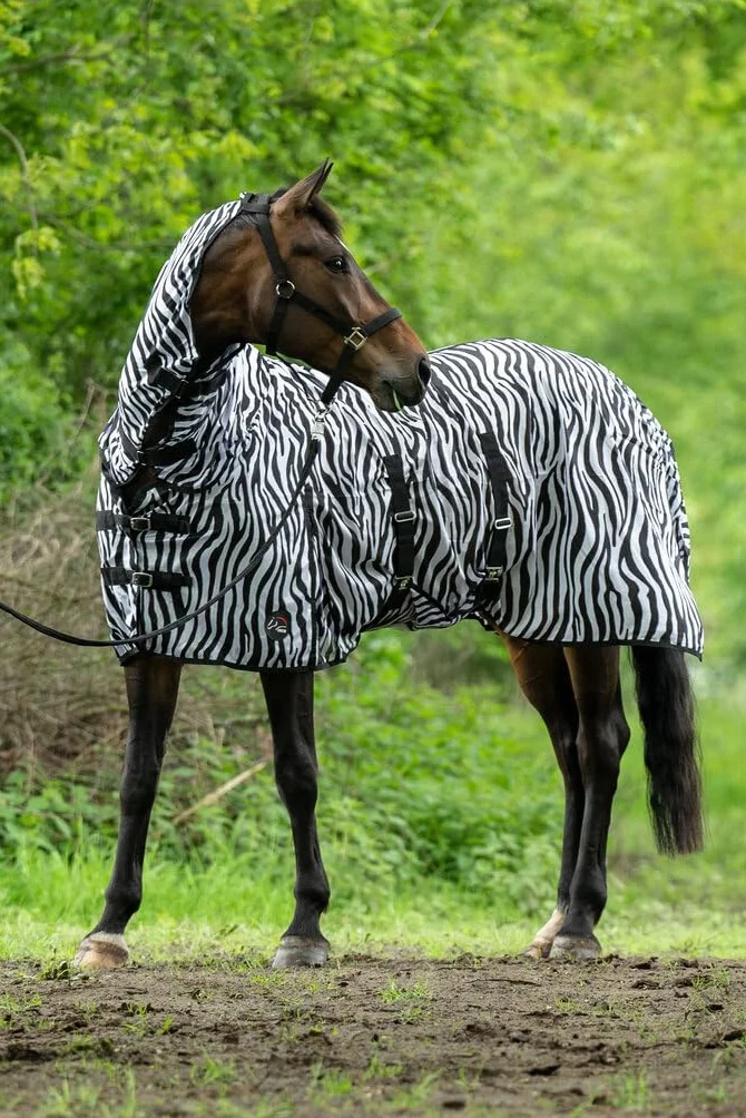 Couverture de Cheval HKM 4669 Motif Zèbre Taille 145