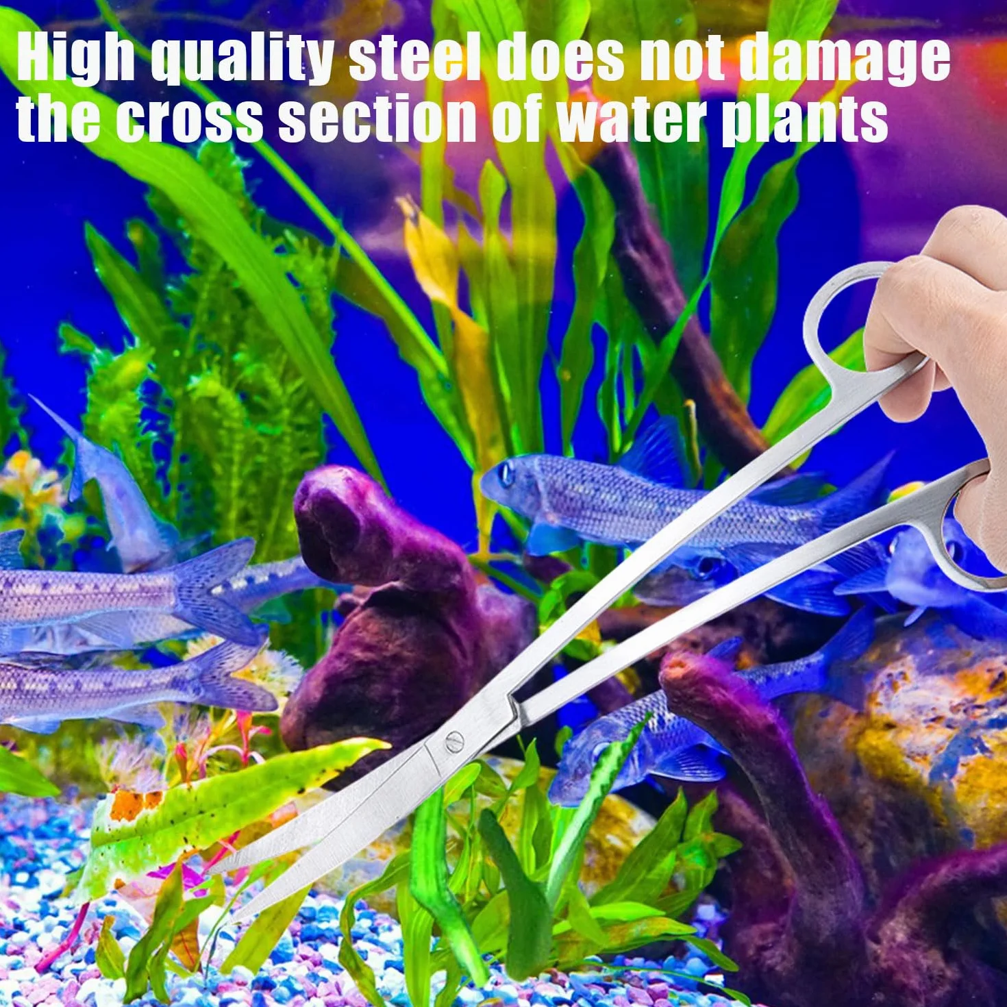 RYAN 4 Pièces Accessoires Aquarium Acier Inoxydable Kit Terrarium Plante Pinces Ciseaux Outils Set