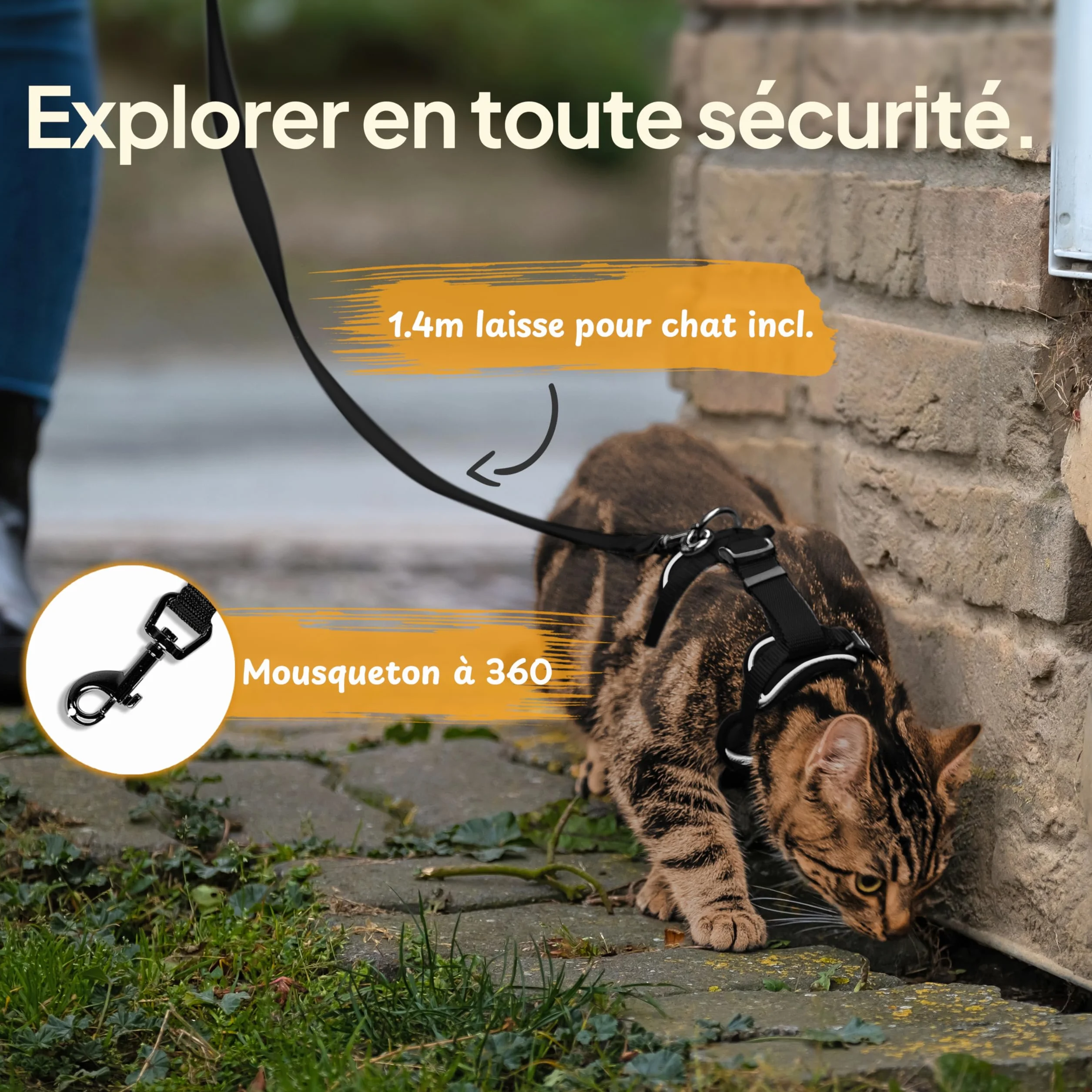 Tierhood Harnais pour Chat Anti-évasion Noir Taille S