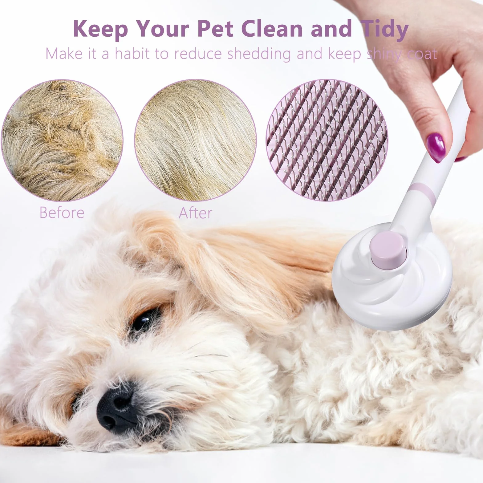 Brosse Chat Anti-Poils Poignée Amovible Toilettage Chats Poils Longs/Courts Violet