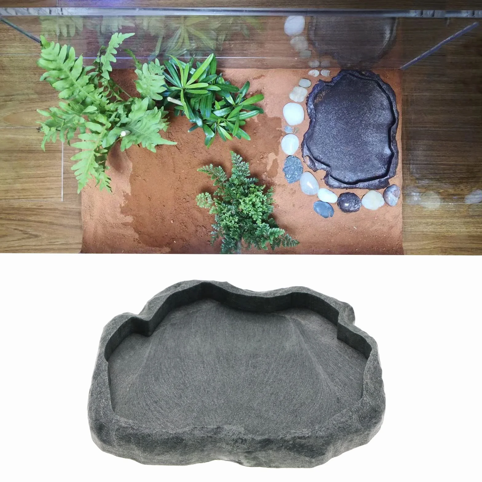 Bac à Eau Reptiles Tortue Mangeoire Lézard Eau Plat Résine Bol à Boire Taille M