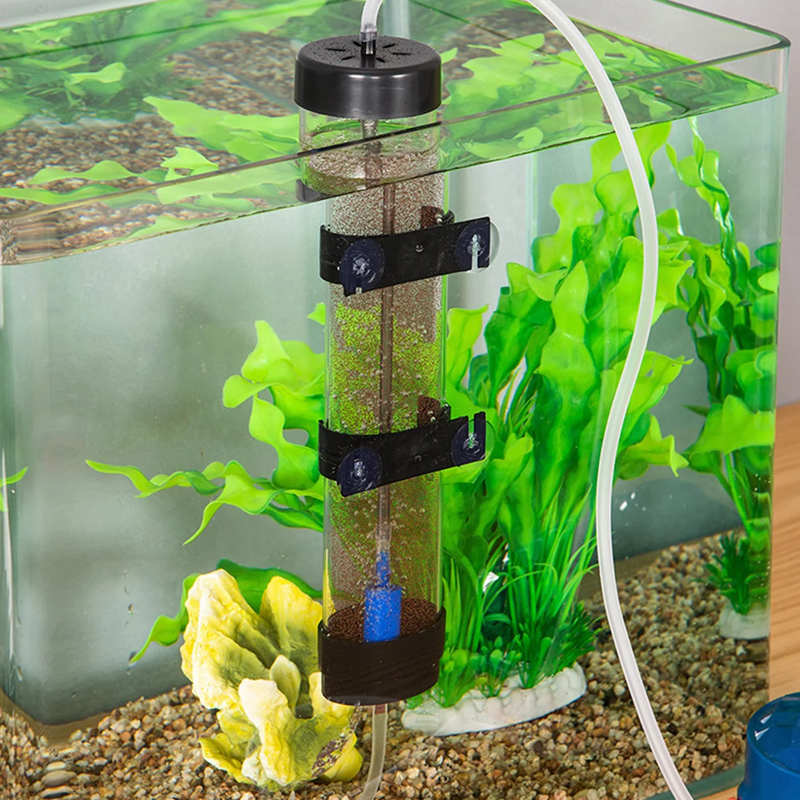 Kit d'écloserie d'artémias en Plastique pour Aquarium, Boîte Multifonctionnelle d'Éclosion