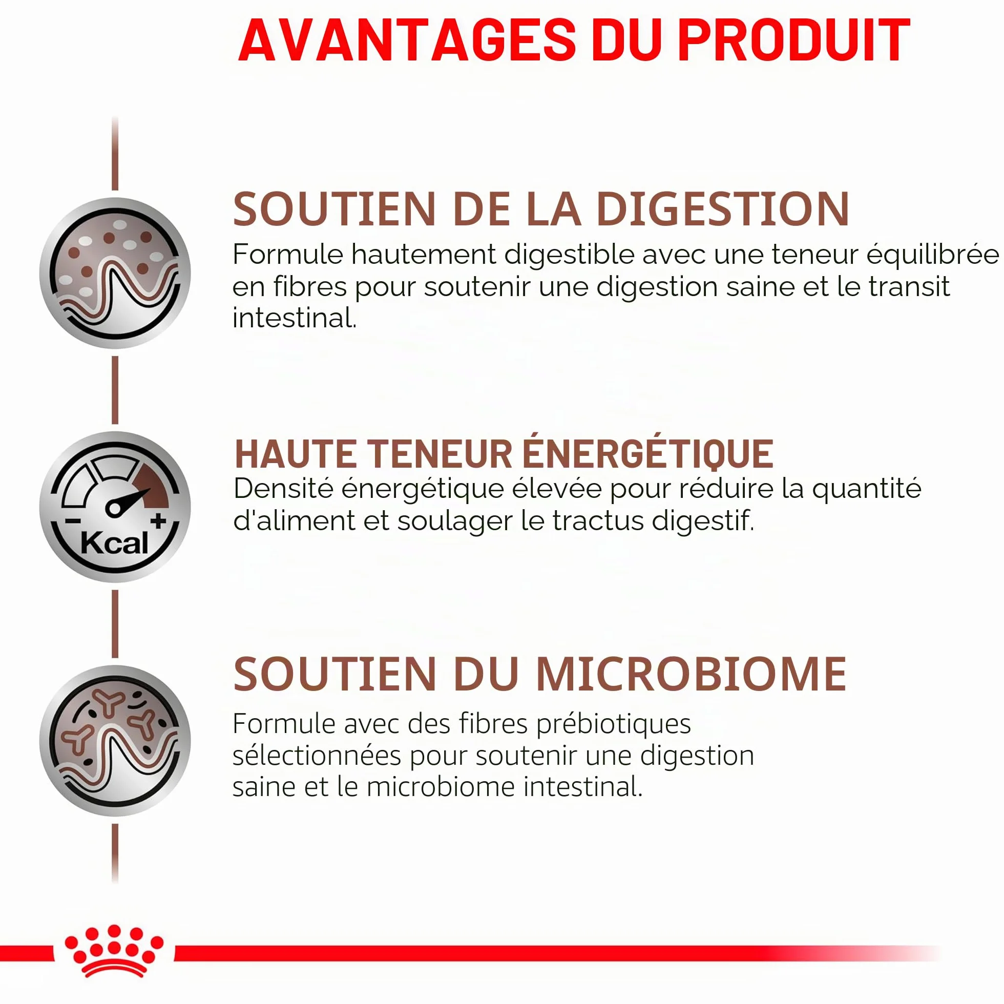 ROYAL CANIN Veterinary Gastro-intestinale Mousse 12x200g Nourriture diététique complète pour Chiens Adultes