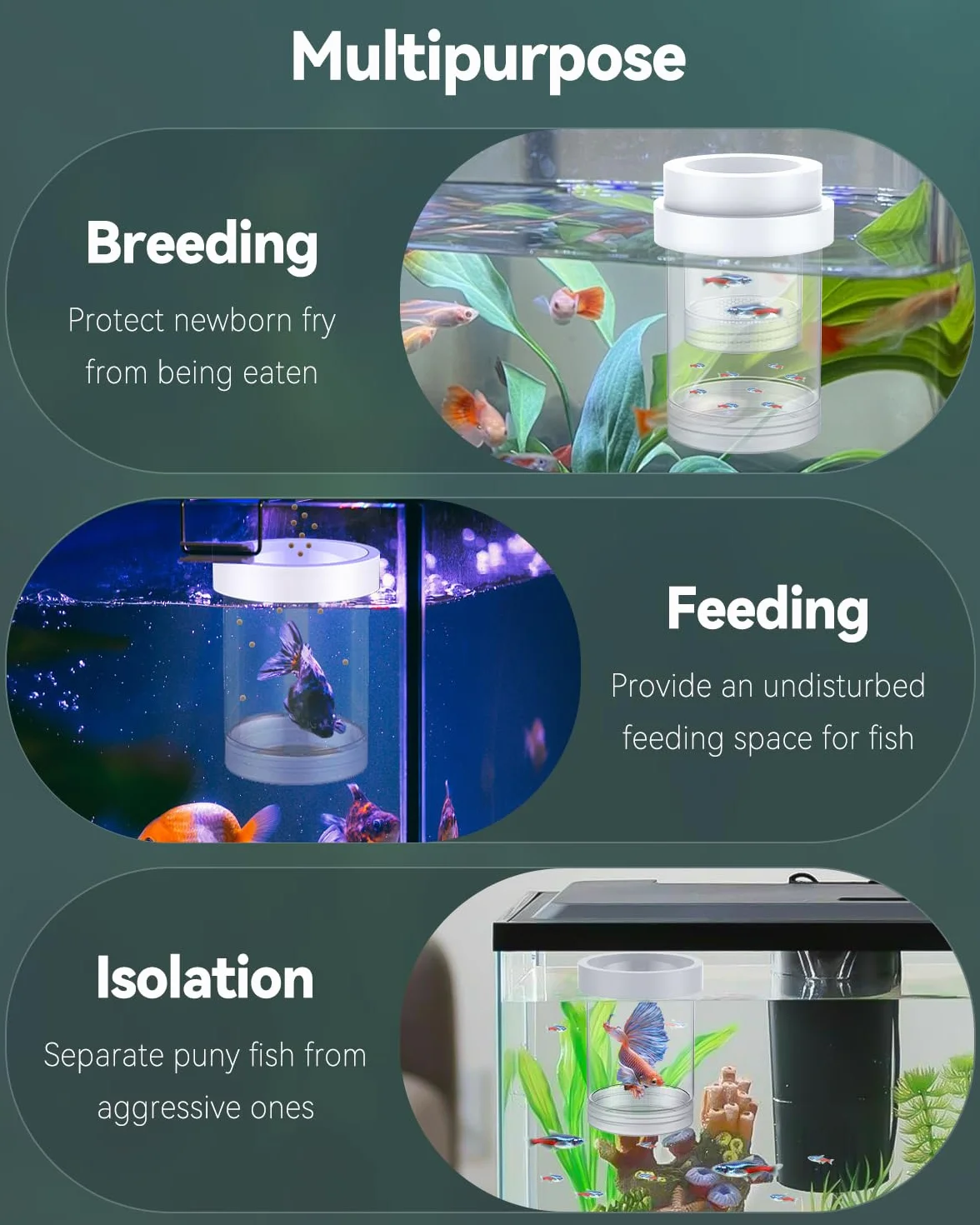 Pawfly Boîte d'élevage pour Aquarium Flottante Reproduction Guppys Séparateur Alevins Incubateur Plastique Crevettes Betta Poisson-Clown Moyen
