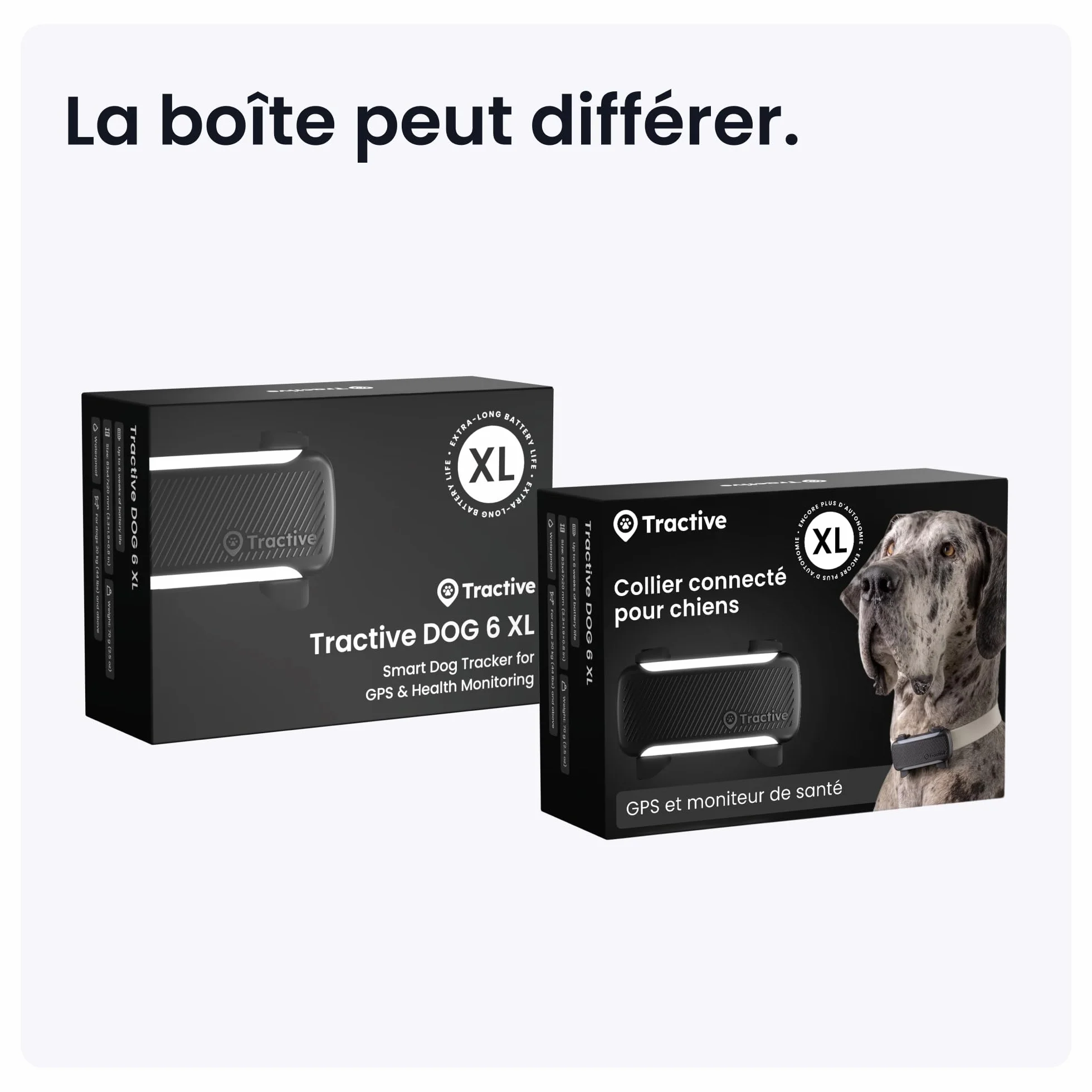 Tractive Collier GPS Chien Connecté XL Édition 2026 Suivi GPS en Direct Alertes Anti-Fugue Santé Moniteur Signes Vitaux Grande Autonomie Noir